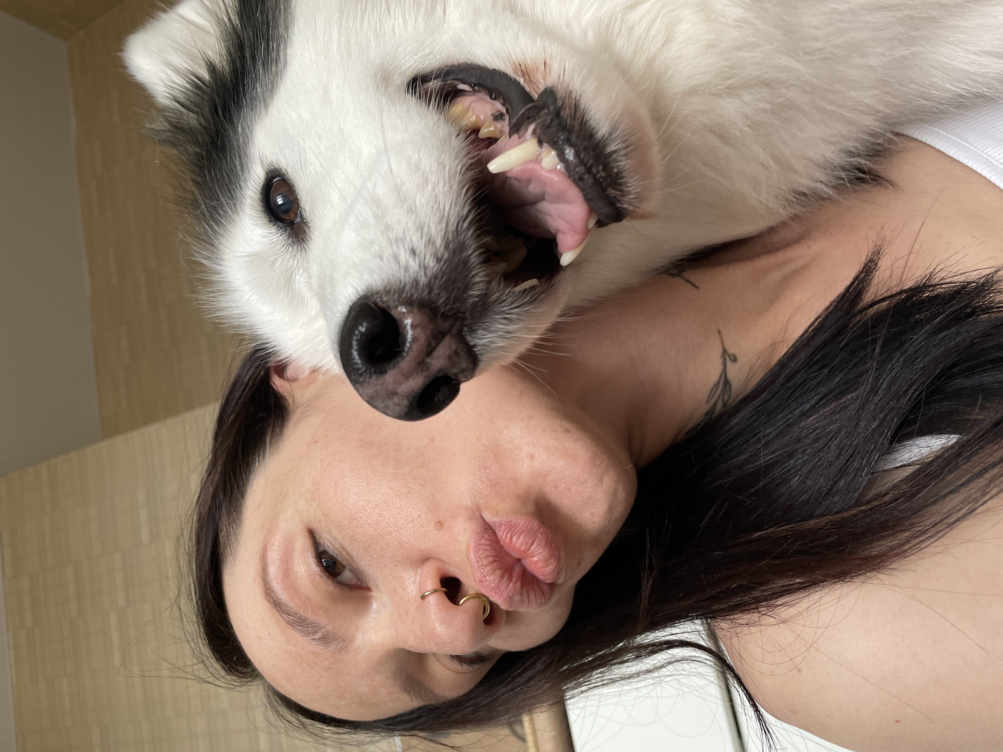 The image depicts an indoor scene in Izhevsk, Russia. An adult female and a large white-furred dog are captured in close proximity. The female, positioned on the left, has dark hair and fair skin. Her lips are pursed in a kissing gesture, and a gold-colored, sinuous septum piercing is visible in her nose. Her left eye is partially open and directed towards the camera. A fine-line tattoo, appearing to be a floral or leaf motif, is visible on her upper left chest/neck area. She is wearing a white ribbed garment, likely a tank top. The dog, consistent with a Husky or Malamute breed, is situated to the right of the female, its head alongside hers. Its mouth is open, revealing a pink tongue, white canines, and molars with visible yellow staining. Its dark brown eye is directed towards the camera. The background consists of a light beige textured wall section and a plain white surface, suggesting an interior residential environment.