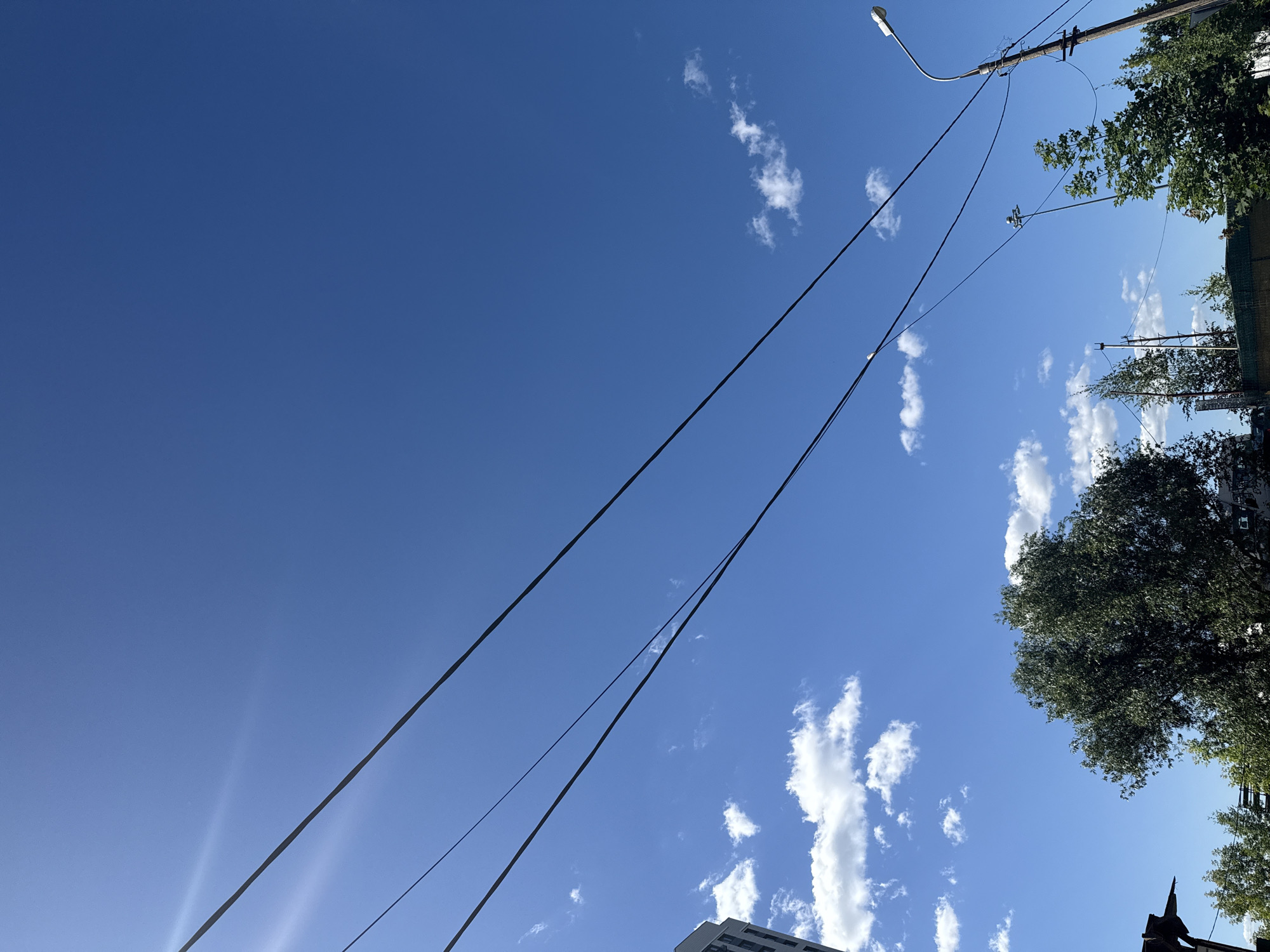 This image shows a bright, clear blue sky with a few scattered white clouds. Several dark power lines stretch across the frame, creating diagonal lines against the sky. On the right side of the image, the tops of trees with lush green foliage are visible, along with parts of buildings and utility poles with streetlights and wires. One building appears to be a modern high-rise. The sun is shining, casting light and creating some lens flare on the left side of the image, indicating it is daytime, likely late morning or afternoon. The overall impression is of an urban or suburban environment on a pleasant day. No people are visible. There is no discernible text in the image. The orientation of the image is rotated, suggesting it was taken looking upwards.