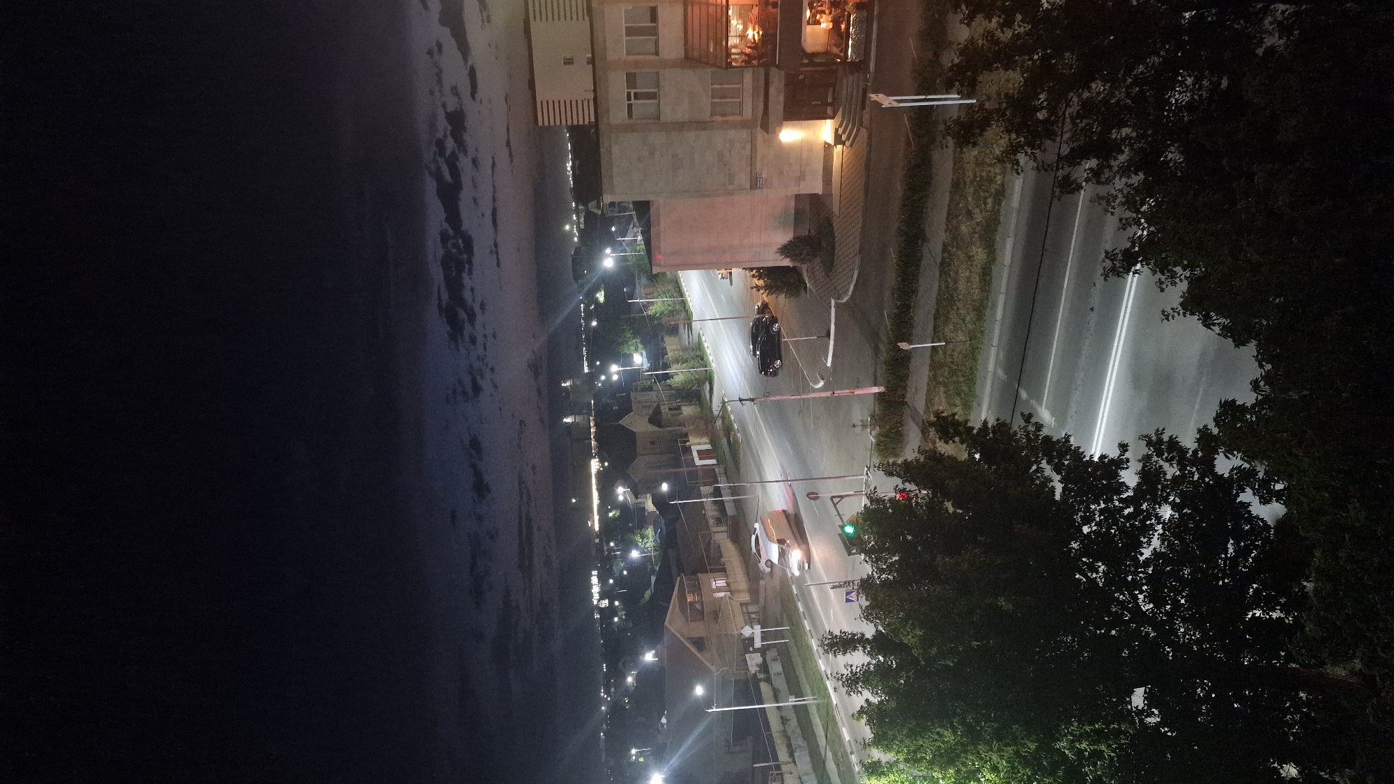 The image shows a nighttime view of a city street in Kostanay, Kazakhstan. In the foreground, dark trees obscure the view of a two-lane road with white lane markings. Several streetlights are visible along the road. On the right side of the street, a multi-story building with illuminated windows and an outdoor seating area is prominent. Across the street, there are houses, more streetlights, and a traffic light at an intersection. A white van is driving on the road, and two dark-colored cars are parked on the side. In the distance, the city lights extend towards the horizon under a cloudy night sky.