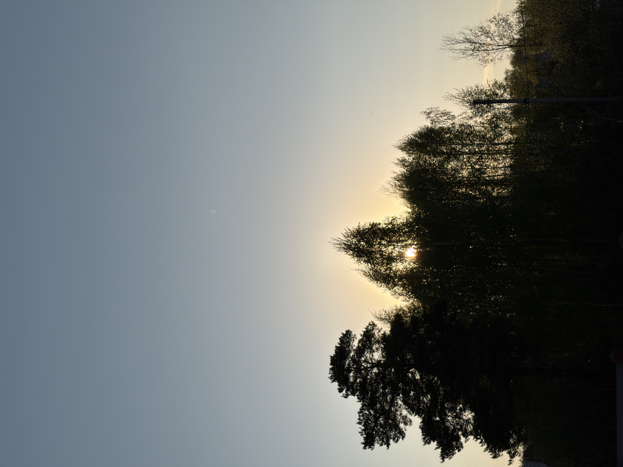 A low-angle, vertical view shows a gradient sky transitioning from blue at the left to yellow-white near the horizon. Silhouetted trees line the right side of the frame, some illuminated from behind by the setting sun. A pole is visible among the trees. The specific location in Chaikovsky, Russia, is not discernible from the image alone.