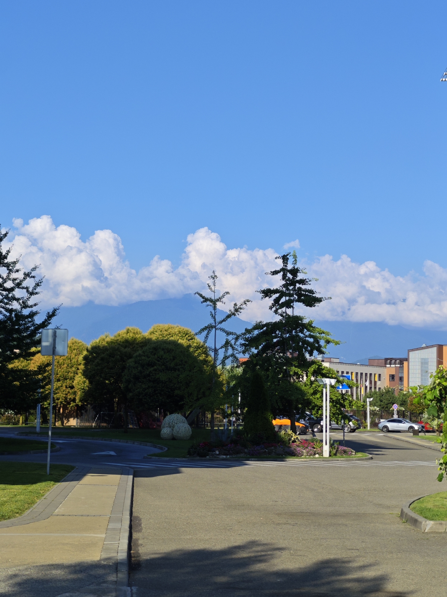 The image depicts a sunny day in a modern urban setting, possibly within Sochi, Russia, as suggested by the context. In the foreground, a paved road curves to the right, with a pedestrian walkway made of light-colored pavers bordering a grassy area. The road leads towards a roundabout with a central landscaped island featuring flowers and a large, abstract sculpture made of intertwined white ropes.
Several trees are visible, including tall conifers and deciduous trees with vibrant green and yellow foliage, suggesting late spring or early summer. In the mid-ground, a street signpost stands by the road. Beyond the trees, a multi-story building with modern architecture, featuring large windows and a mix of beige and orange facades, is partially visible. Another building with a glass facade is also present.
Several vehicles are on the road: a silver sedan, a dark SUV, and a red car in the distance. The sky is a clear, bright blue, punctuated by large, fluffy white clouds that cast shadows on the distant, hazy blue mountains in the background. The overall scene conveys a sense of a well-maintained public space, likely a park or a well-designed streetscape, bathed in bright sunlight. There are no people visible in the image.