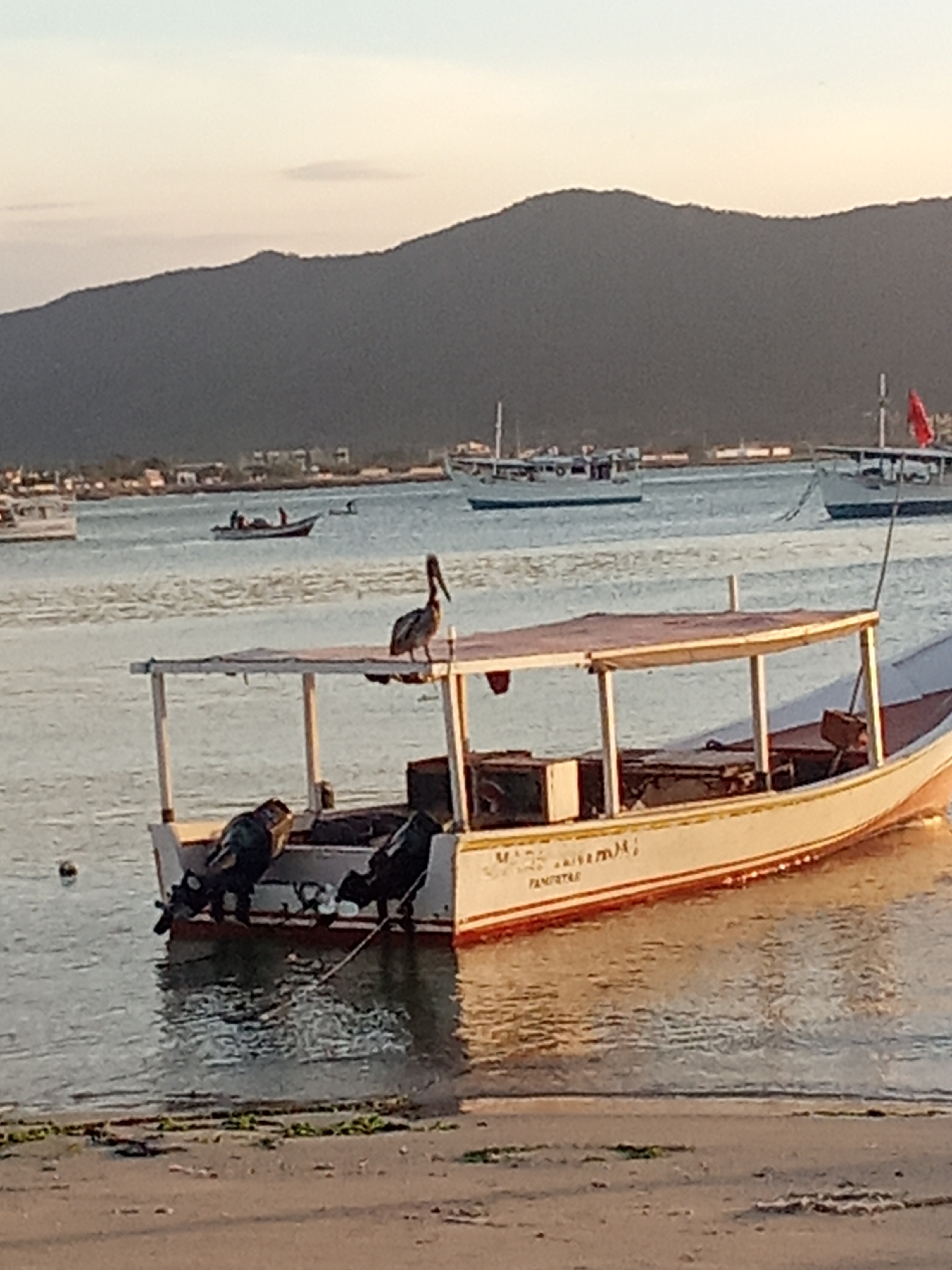 This image depicts a coastal scene in Juan Griego, Venezuela. In the immediate foreground, a sandy or muddy shoreline with sparse green vegetation transitions into calm, reflective water. A small, open-top wooden boat, painted white with a red stripe along its hull, occupies the central midground. Two dark outboard motors are mounted on its stern. A brown pelican is perched atop the boat's canopy, facing left. The boat's starboard side displays the name "MARIA ANATOLIA" with "PAMPATAR" inscribed below. A rope extends from the boat into the water. In the mid-distance, several other boats are visible across the bay. One smaller, dark-hulled boat containing two indistinct human figures is in motion, moving towards the left. Further out, multiple larger vessels are moored, one of which features a red flag flying from a mast. The background is dominated by a dark, undulating mountain range stretching across the horizon. A faint cluster of buildings is discernible at the base of the mountains. The sky is a pale blue, suggesting either early morning or late afternoon lighting conditions.
