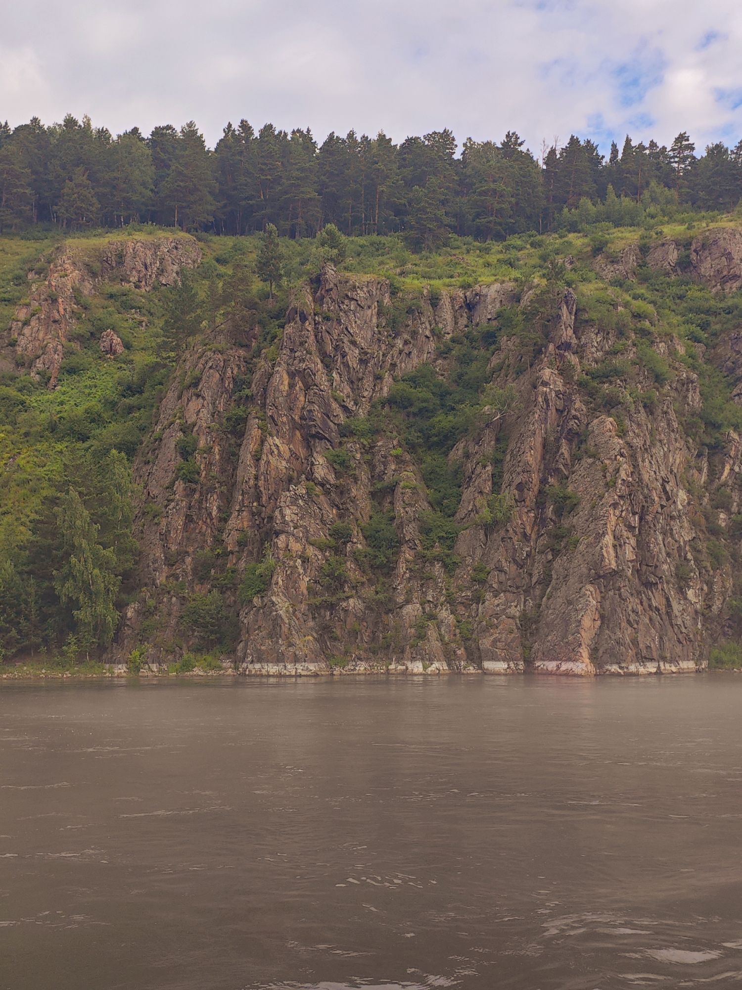 A vertical, high-angle shot captures the Yenisei River flowing past a steep, rocky cliff face adorned with dense green foliage and a thick forest of coniferous trees at the summit. The river occupies the lower half of the frame, its surface rippled and bearing a muted brown hue, reflecting a cloudy sky. The cliff, a dominant feature, is a tapestry of rugged rock formations and scattered greenery, rising dramatically from the river's edge. The forest at the top is a dark, uniform band of trees. The scene suggests a natural, undeveloped landscape.