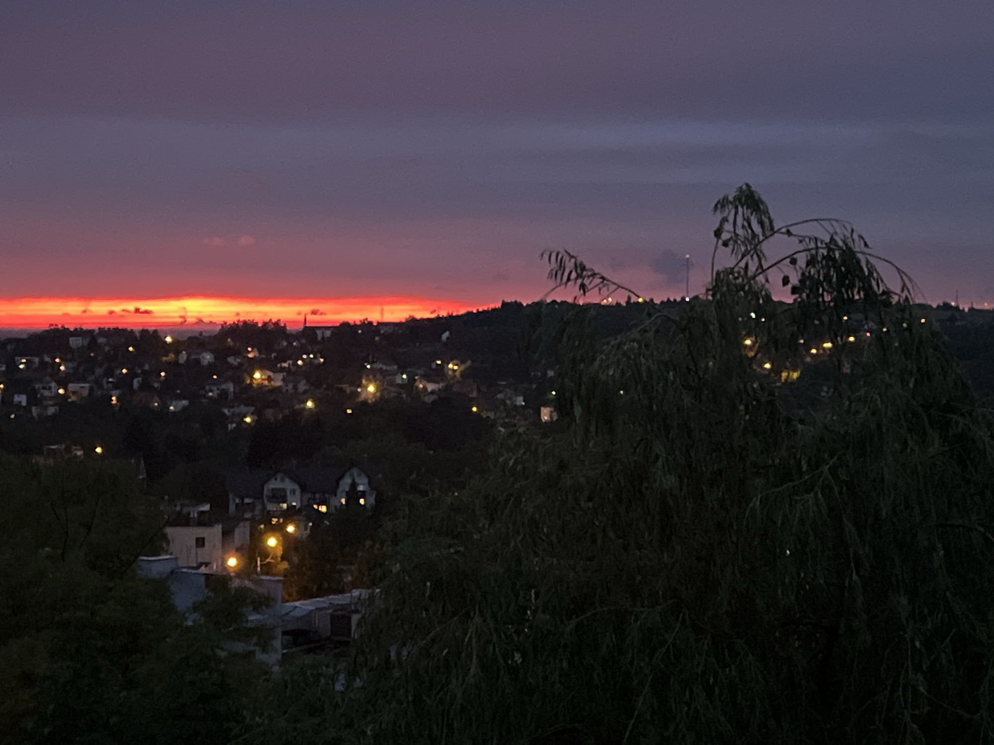 A wide-angle, eye-level shot captures a twilight cityscape under a gradient sky ranging from deep purple to bright orange. The horizon is lined with a row of trees and buildings, illuminated by scattered yellow lights from within the structures, suggesting a residential area. In the foreground, the dark silhouettes of large trees with thin, drooping branches obscure parts of the scene, with some distant lights visible through the foliage. The overall impression is that of a serene evening in a suburban or semi-urban environment.