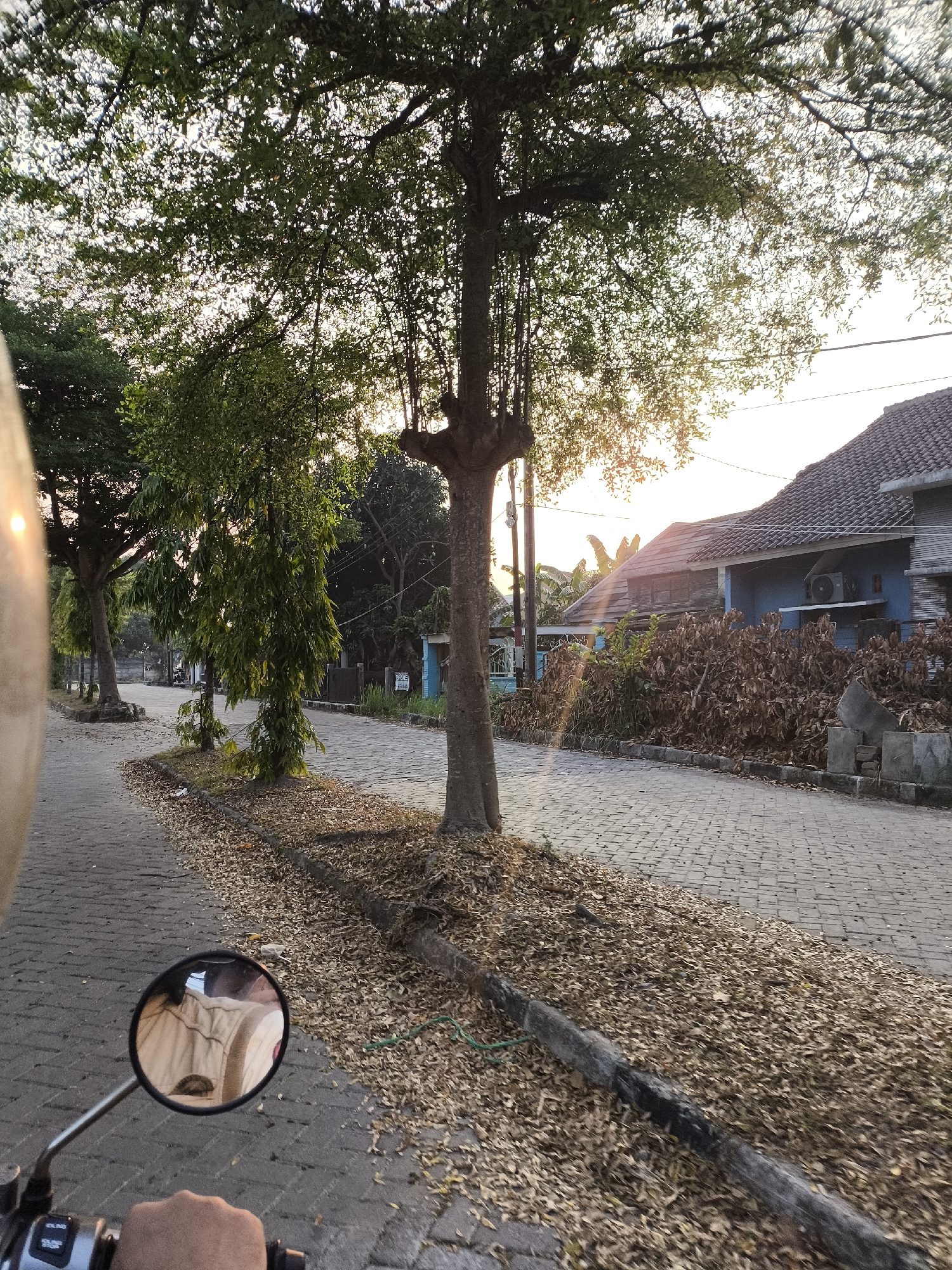 The image depicts a street scene in Cilegon, Indonesia, at sunset. A paved road, made of interlocking bricks, runs through the frame, lined with trees and vegetation. On the right side of the road, a blue house with a tiled roof is visible, with a pile of dry leaves and branches in front of it. A motorcycle's handlebar and a rearview mirror are in the foreground on the left, reflecting the rider's face. Sunlight streams through the trees, casting long shadows and creating a warm, golden glow. The overall impression is that of a quiet, residential street in a tropical setting during golden hour.