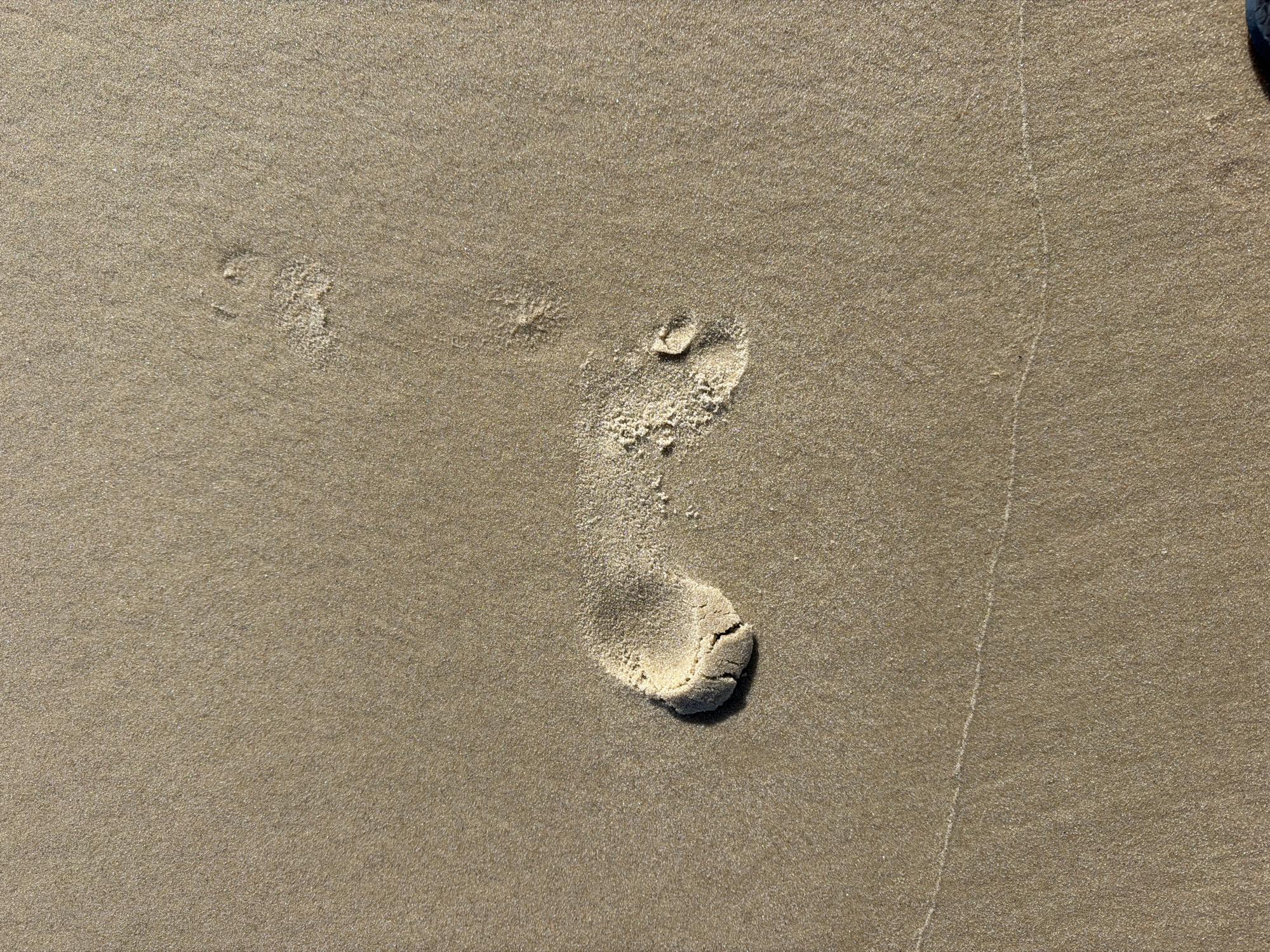 The image shows a footprint in the sand on a beach. The footprint is well-defined, with the heel and toes clearly visible. The sand is light brown and appears to be slightly damp. A thin line of moisture runs across the sand, suggesting the tide may have recently receded. There is another, fainter footprint visible further up the beach. The location is Hampton Bays, United States of America.