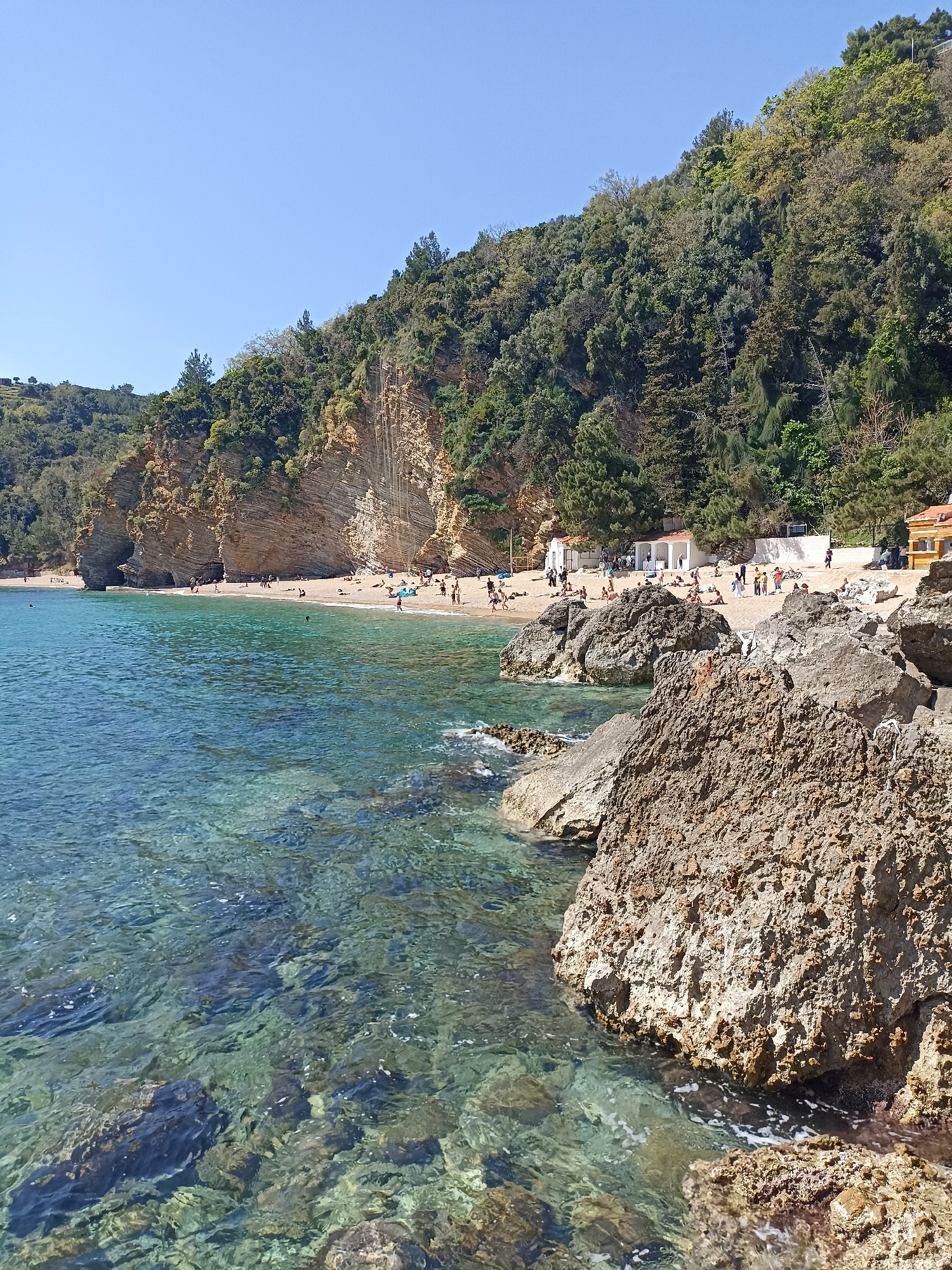 The image depicts a sunny, clear day at a beach in the city of Budva, Montenegro. The beach is sandy with a backdrop of layered cliffs covered with dense green trees. Several people are spread out along the shoreline, some sunbathing, others walking or swimming. A line of white structures resembling changing rooms or cabanas sits near the base of the cliffs. To the right, a small yellow building is visible. The foreground features large, craggy rocks, with clear, turquoise water surrounding them, revealing rocks and algae below the surface. The sky is a pale blue.