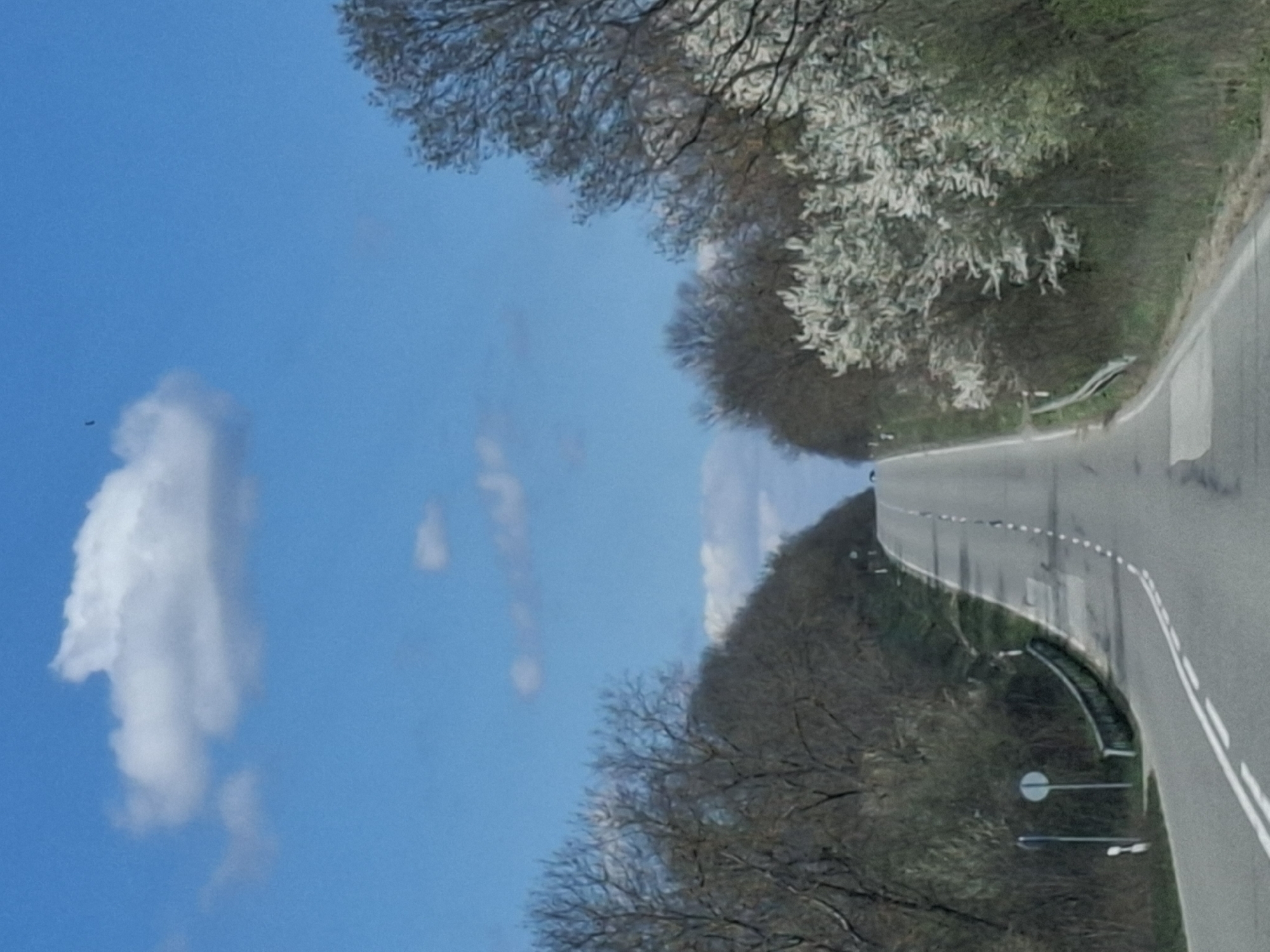 An outdoor shot of a road running towards the horizon, flanked by trees and a bright blue sky with scattered clouds. The road has white lane markings, and there is vegetation on either side. The location is Studeno Buche, Bulgaria.