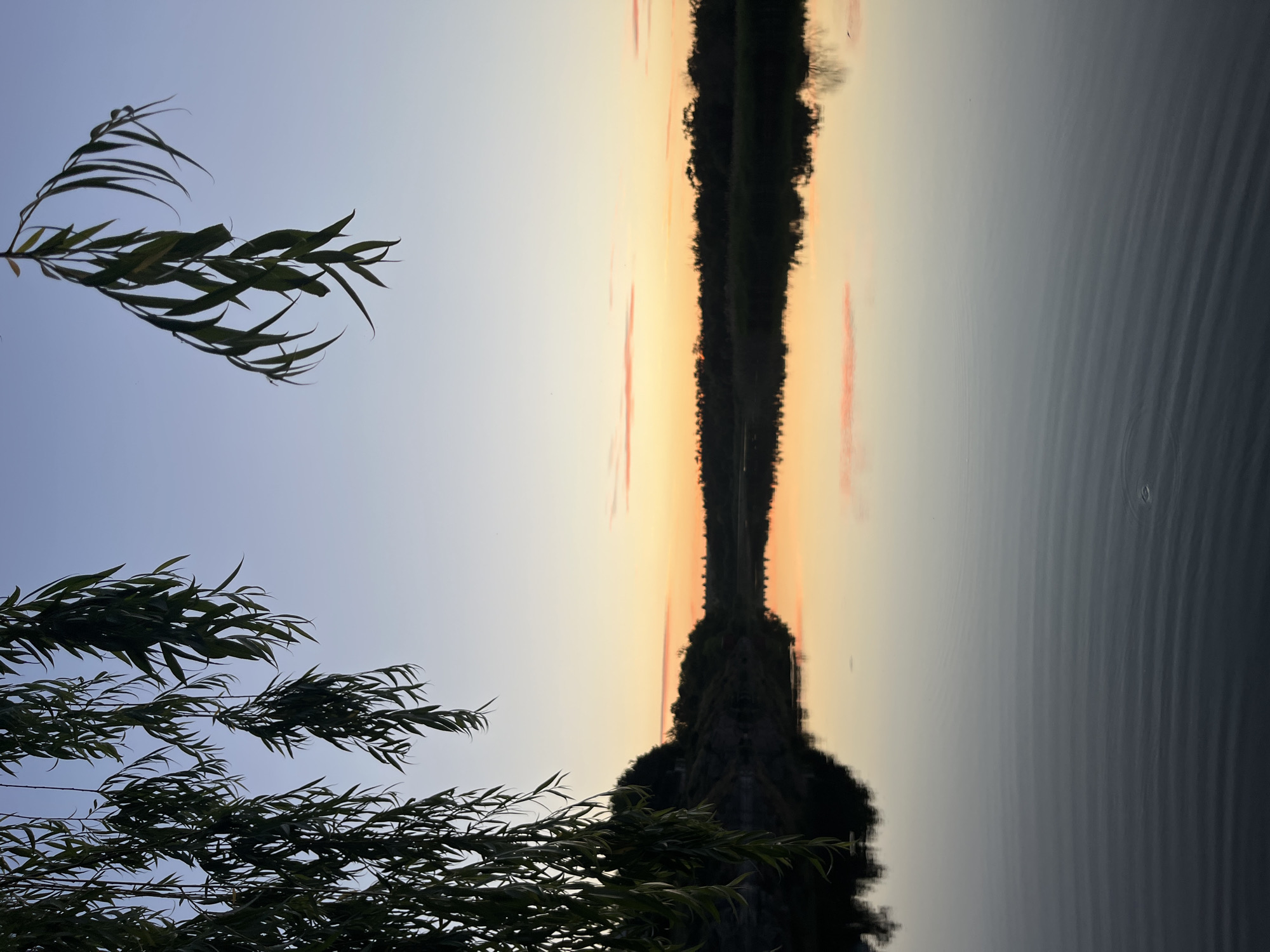 The image depicts a serene sunset scene over a body of water, likely a river or lake, with a landscape of trees and vegetation along the far bank. The sky transitions from a pale blue at the top to a warm orange and pink hue near the horizon, indicating the sun is setting. Hanging willow branches frame the top left of the image. The water is calm and reflects the colors of the sky and the silhouette of the trees, creating a mirror-like effect. The location is specified as Lozuvatka, Ukraine. There are no people or animals visible in the image. The overall atmosphere is tranquil and natural.