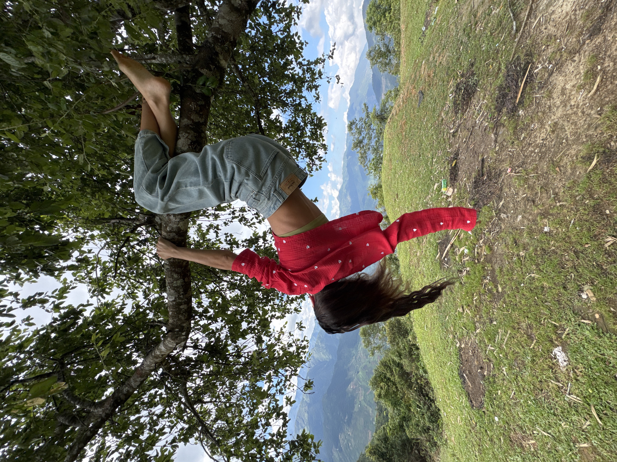 An individual is depicted suspended inverted from a thick, textured tree branch. The person wears a red long-sleeved shirt patterned with small white hearts, a light green undergarment visible at the midriff, and light-wash denim wide-leg trousers. Their bare feet are hooked over the branch, and their right hand grasps the branch for support. Long, dark hair hangs freely towards the ground. The tree branch is robust, surrounded by a dense canopy of green leaves. The immediate ground features undulating green grass, exposed soil patches, minor organic debris, and two distinct circular areas of dark, disturbed earth. The background showcases a vast mountainous panorama with multiple layers of forested hills extending under a partly cloudy sky. This rugged, verdant terrain is consistent with the geographical characteristics of Tú Lệ, Vietnam.