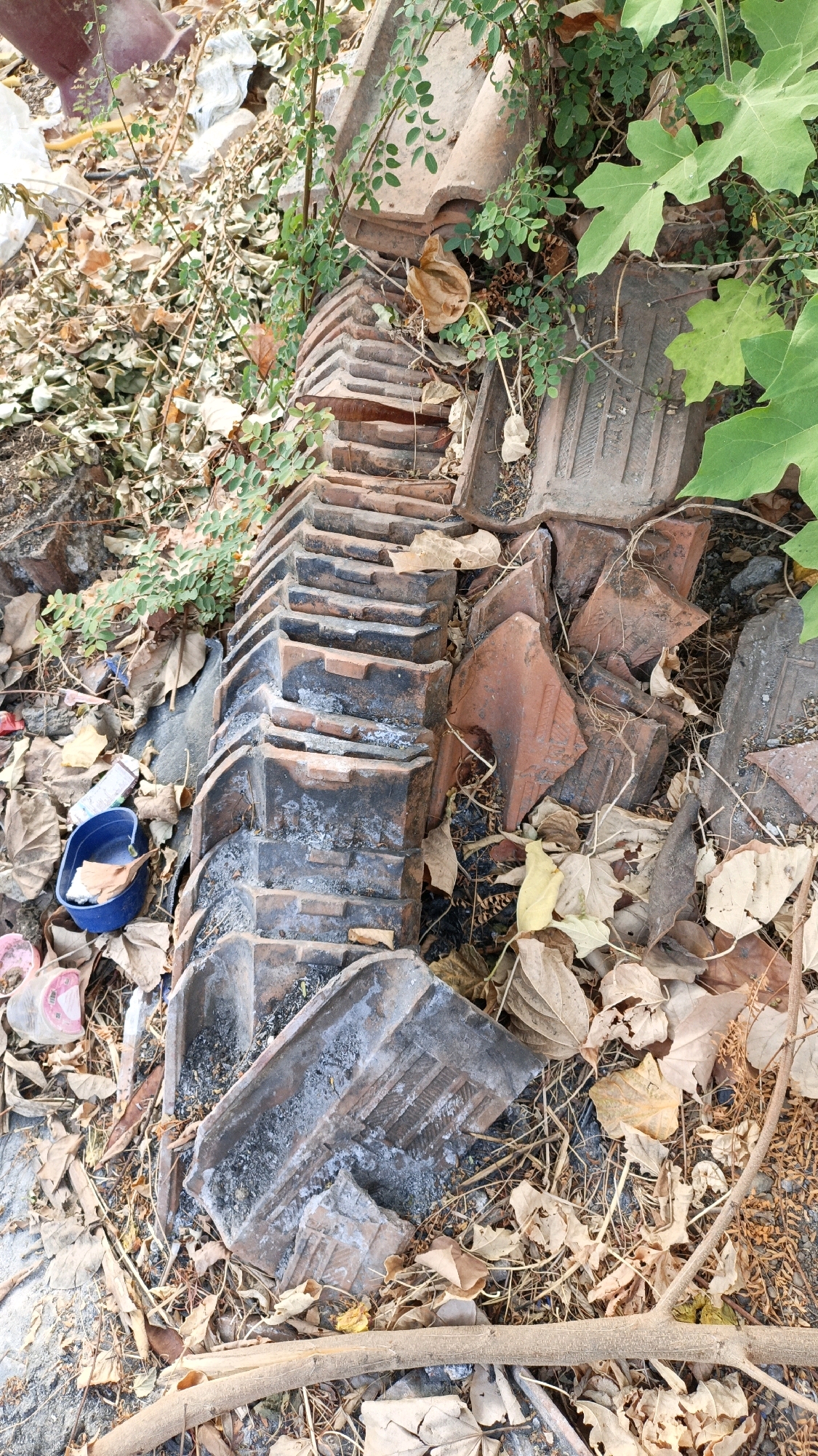 A pile of weathered, broken terracotta roof tiles are scattered on the ground, overgrown with green vines and surrounded by dry leaves and debris. A small blue plastic cup sits amongst the leaves on the left side of the frame. This scene is located in Cikal, Indonesia.