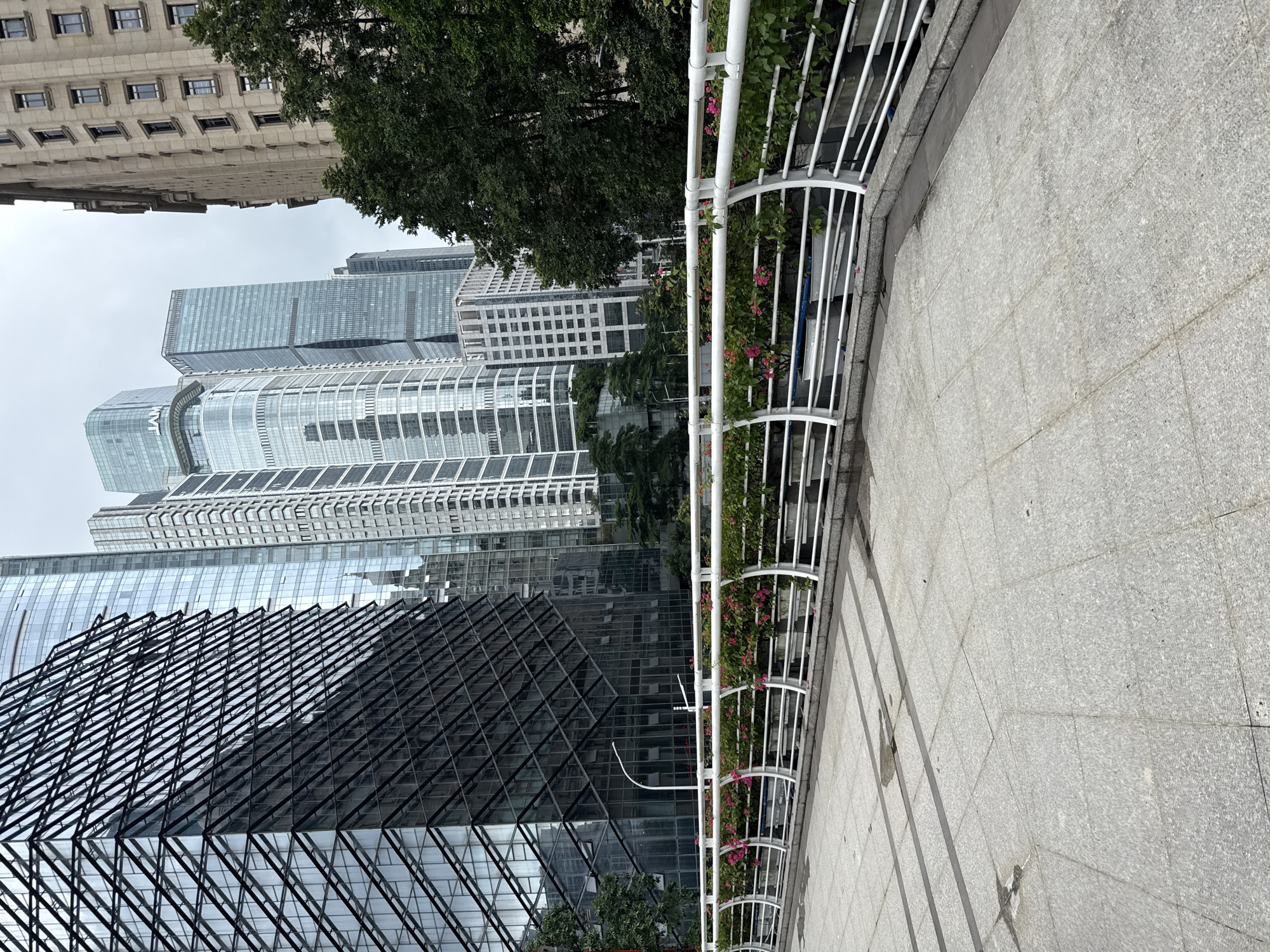This image depicts a view of modern skyscrapers and an older building in the Tianhe District of China. In the foreground, a paved walkway made of granite tiles leads towards a white railing that borders a planter box filled with green foliage and pink flowers. The railing has a curved, modern design. Behind the walkway and railing, several contemporary glass-faced skyscrapers rise into a cloudy sky. One of these buildings features a striking diagonal grid pattern on its facade. To the right of the modern buildings, a taller, older building with a stone facade and numerous rectangular windows is visible. Lush green trees are interspersed throughout the scene, particularly on the right side of the image, creating a contrast between the urban architecture and nature. The overall environment suggests a bustling city with a mix of architectural styles.
