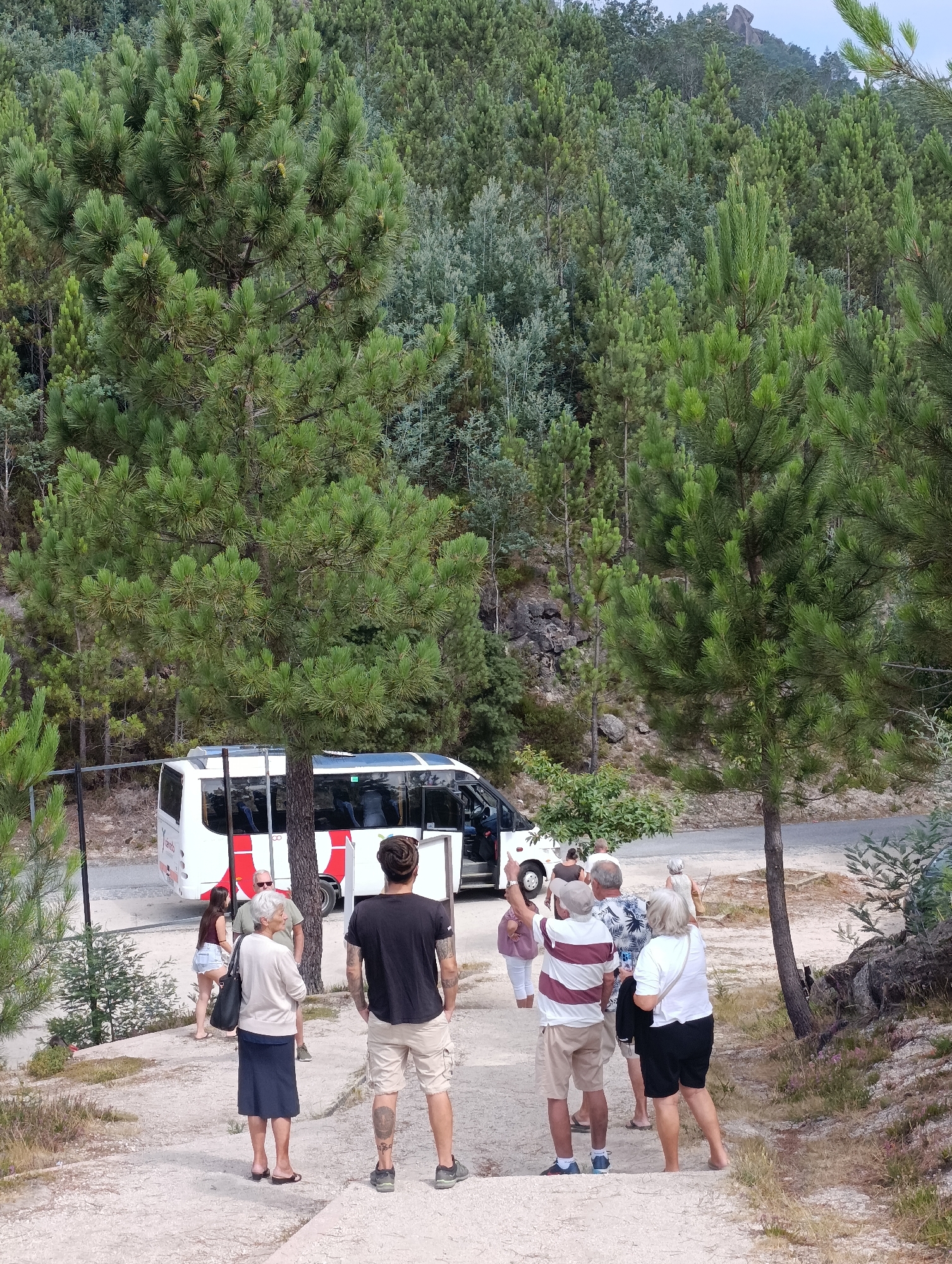 In the city of Terras de Bouro, Portugal, a group of individuals stands on a sandy path, their backs to the camera, looking at a white bus parked on a paved road. The bus has red stripes and tinted windows. The environment is a wooded hillside with pine trees and other foliage. The people appear to be tourists, some dressed casually in shorts and t-shirts, while others are in more formal attire. They are standing in a relaxed manner, some are talking amongst themselves, and one man is pointing. The terrain is uneven, with dirt and rocks visible. The lighting suggests it is daytime, with a slightly overcast sky.