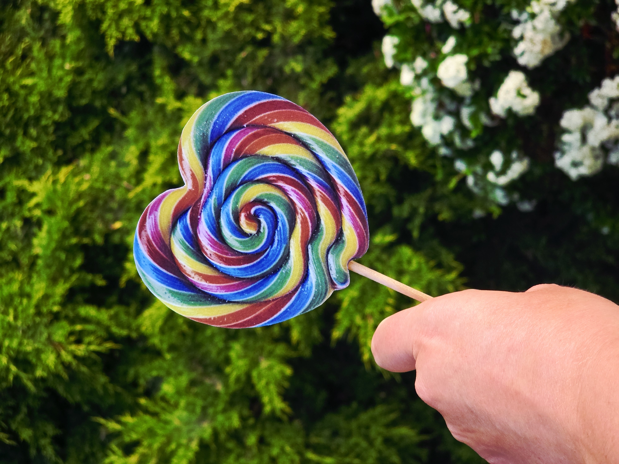 A heart-shaped lollipop is held by a fair-skinned hand against a background of dense green foliage and white flowers. The lollipop features a swirl pattern in a spectrum of colors including blue, red, yellow, green, and purple. The stick of the lollipop is made of wood and is held in the hand. The foliage in the background consists of green shrubs. The image provides no definitive elements to identify the city of Unknown, Unknown.