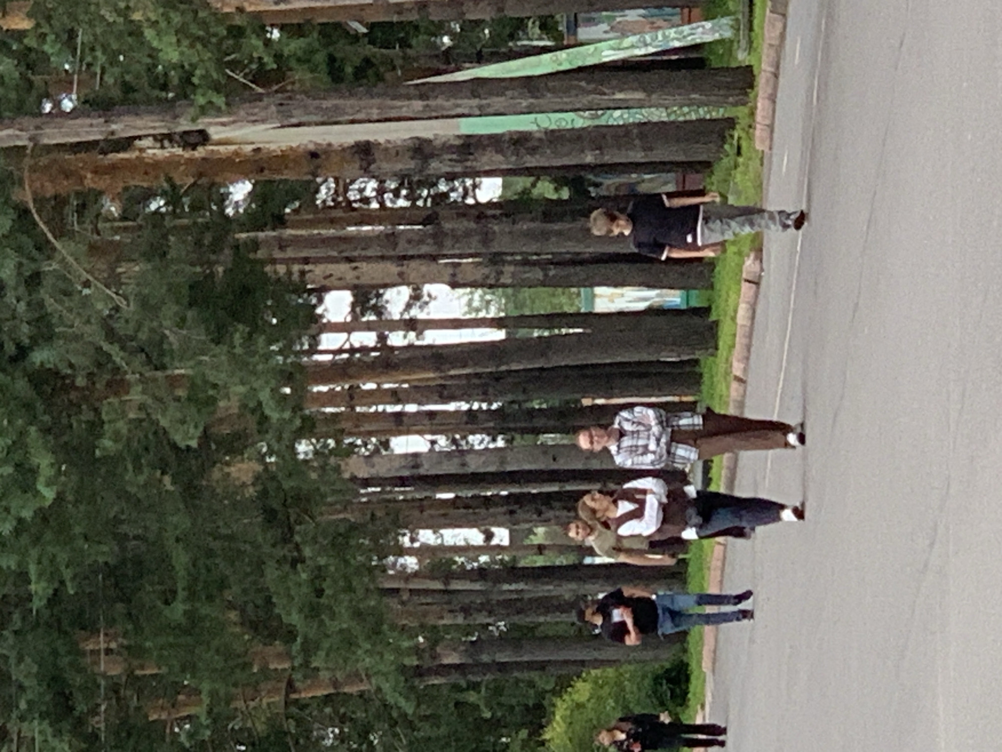 The image depicts a group of individuals walking along an asphalt road lined with tall pine trees. The road has a curb made of rough-cut stones. In the background, there are some structures with colorful graffiti, suggesting an urban or park-like environment. The lighting indicates it is daytime, possibly late afternoon due to the soft light filtering through the trees. The scene appears to be located in Prokopyevsk, Russia, as suggested by external information not present in the image itself.
From left to right, the individuals include a woman in a dark outfit, followed by a man wearing a black t-shirt and jeans. Next, a man in a green t-shirt and jeans is walking. Further ahead, a woman with dark hair is wearing a white shirt and a brown vest, with her arms crossed. Beside her, a man in a plaid shirt and brown pants is also walking. The farthest individual visible is a young boy in a black t-shirt and grey pants, walking ahead of the main group. The people appear to be casually dressed and walking at a moderate pace, suggesting a leisurely stroll or movement from one point to another within the area. The overall atmosphere is serene, with the natural setting of the pine forest providing a backdrop to the human activity.
