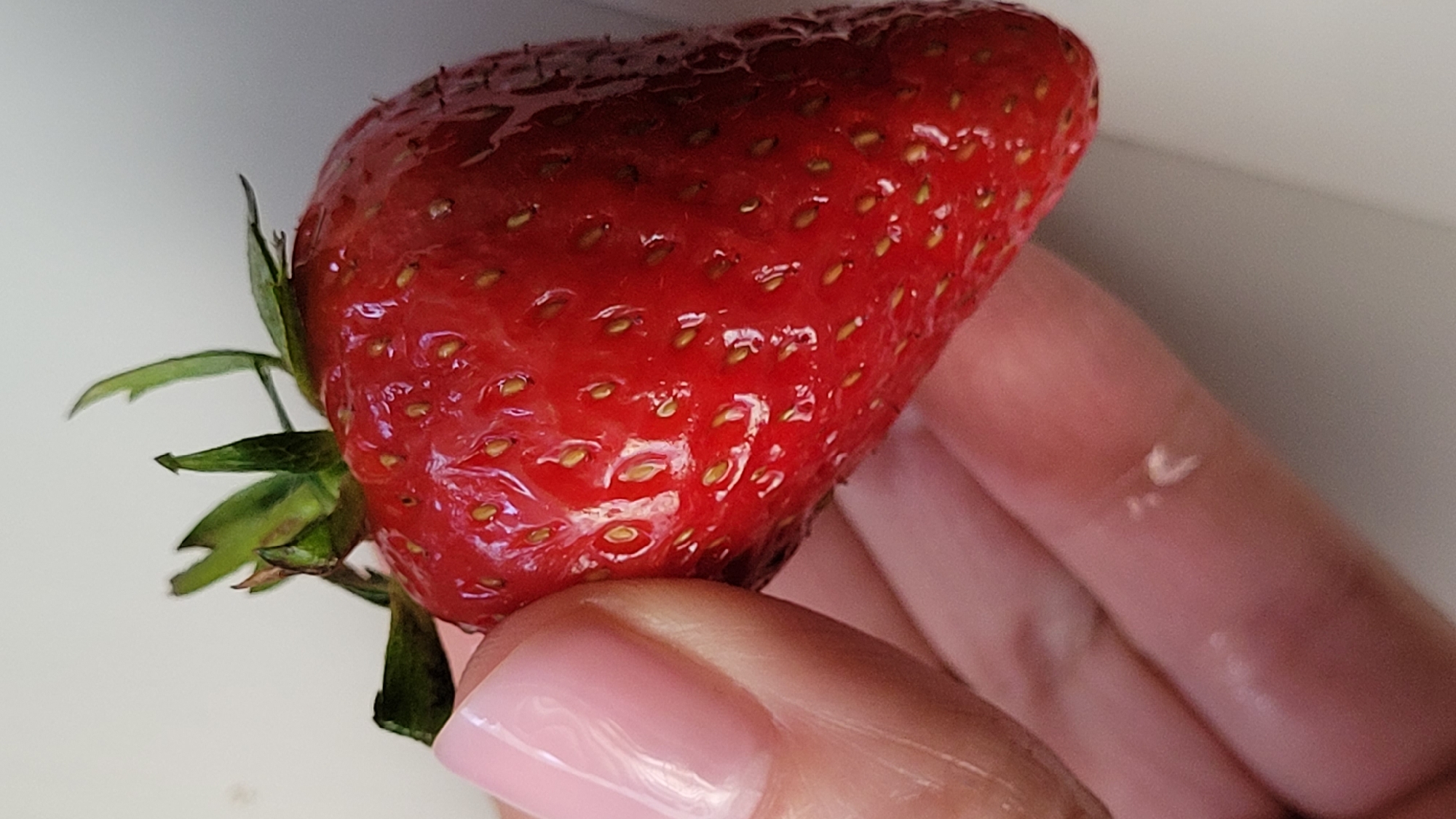 A close-up shot depicts a single, ripe strawberry being held by a person's fingers. The strawberry is a vibrant red with small, yellowish-brown seeds dotting its surface. It has a glossy appearance, suggesting it may be slightly wet. At the top of the strawberry are green sepals or leaves. A hand with light-colored skin and a pink painted fingernail is holding the fruit. The background is a blurred white, and the location is in the city of Unknown, Unknown.