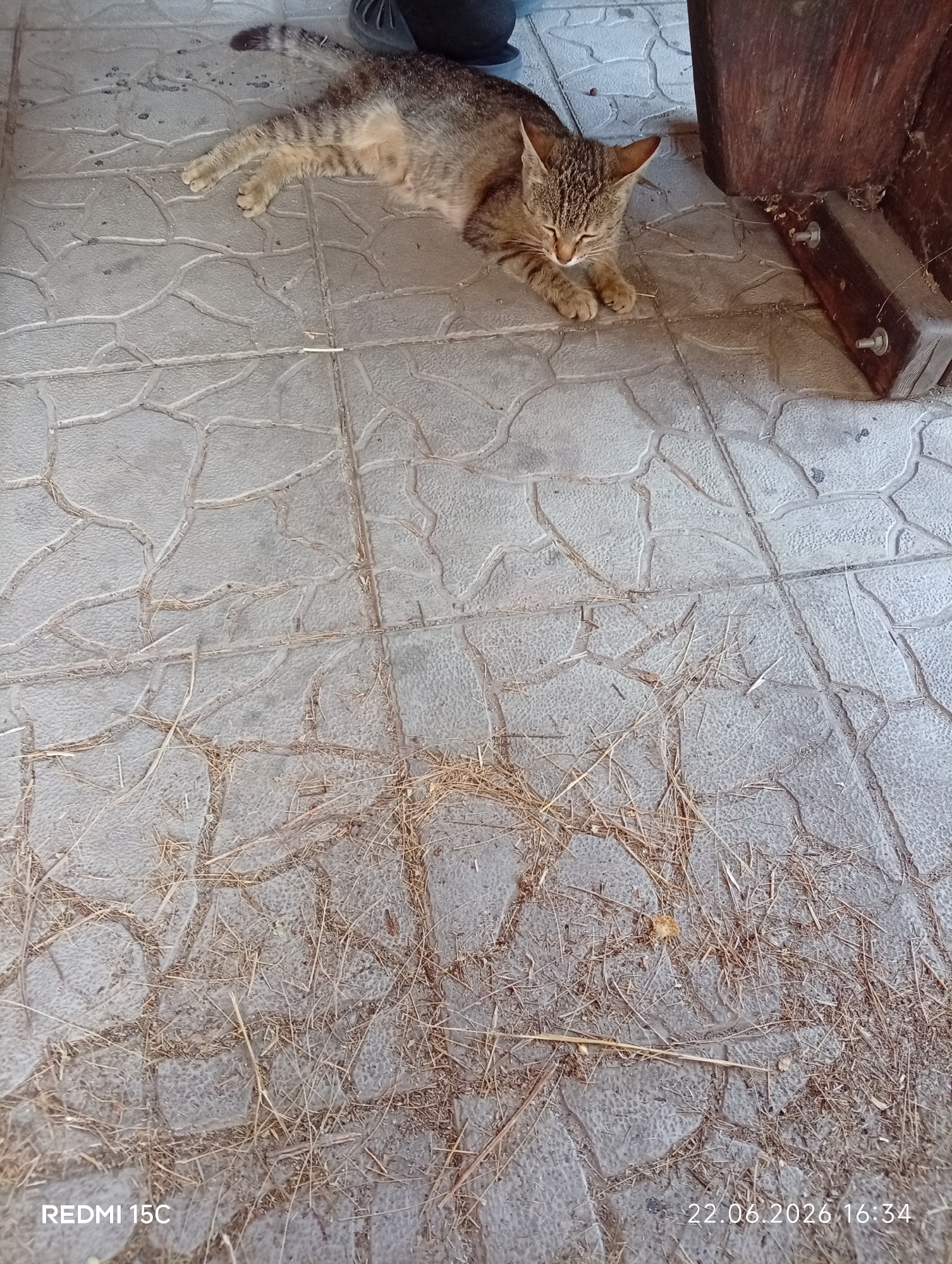 A domestic shorthair cat with tabby markings is lying on a grey stone-tiled outdoor surface. The cat is facing left with its eyes closed and paws tucked beneath its body. Its tail is extended to the left, with dark bands visible. To the right of the cat, a portion of a dark brown wooden object, possibly furniture or a structure, is visible. The tiled ground is partially covered with dry grass and straw. In the bottom right corner, a timestamp reads "22.06.2026 16:34". The bottom left corner displays "REDMI 15C". The overall scene suggests a relaxed moment for the animal in an outdoor setting in Mykolaivka, Ukraine.