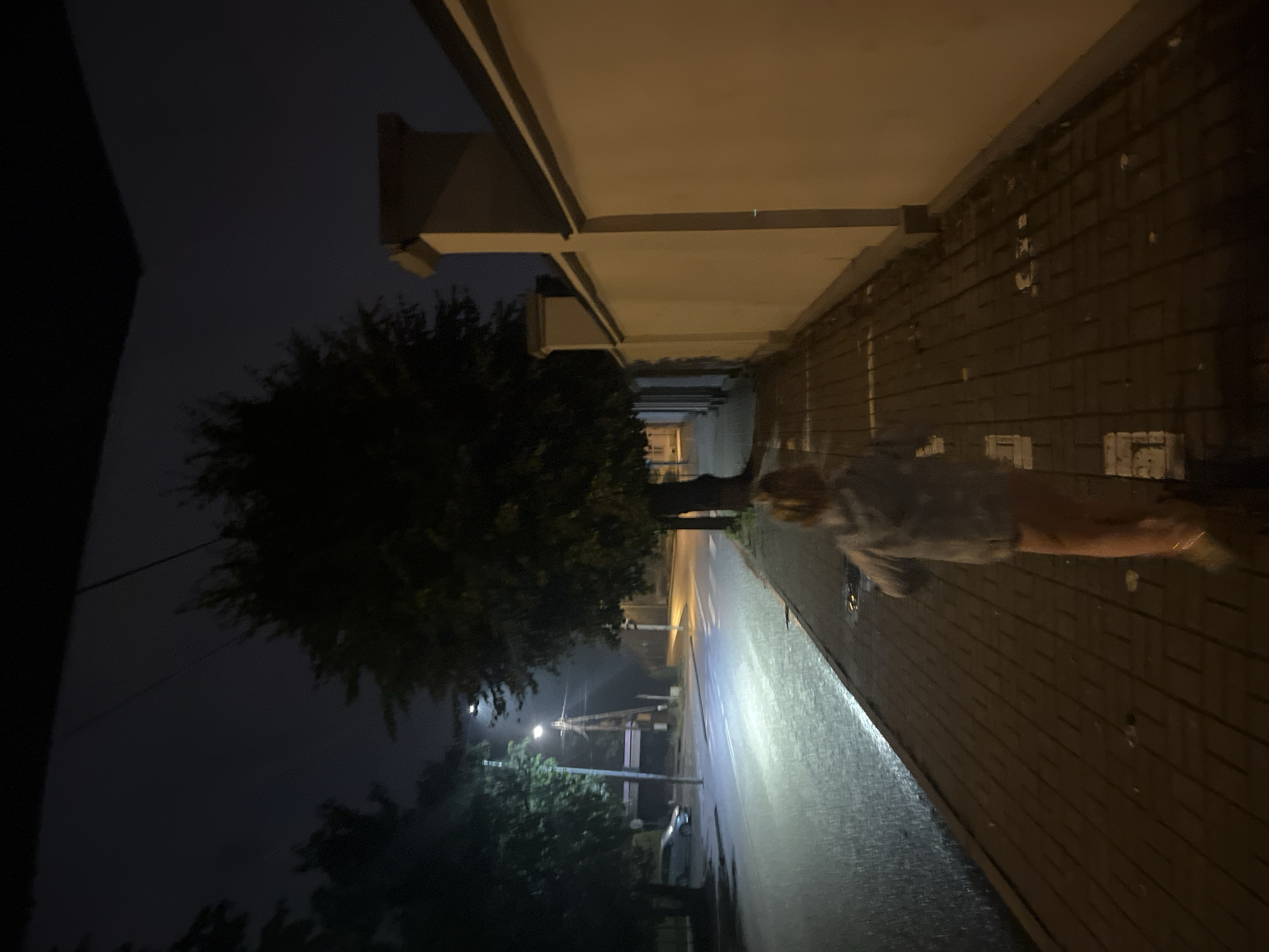 A lone child, seen from behind, runs down a wet, brick-paved sidewalk at night. The child, wearing a light-colored jacket and orange pants, is illuminated by a bright streetlight in the distance. The sidewalk is bordered by a tall, cream-colored wall on the right and trees on the left. A street with a car and streetlights is visible to the left of the sidewalk. The overall scene suggests a somewhat eerie atmosphere due to the darkness and the solitary figure.