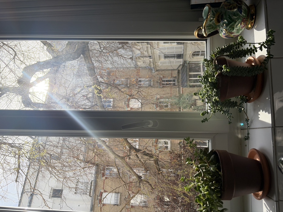 The image presents an interior perspective looking out a window onto an urban landscape in Paris, France, under bright sunlight. No people are visible.
The foreground consists of a white-framed window with a white tiled windowsill. On the sill, two succulent plants in terracotta pots with matching terracotta saucers are arranged. The plant on the left is a compact, upright variety, while the plant on the right is a trailing variety with numerous small, rounded leaves. To the right of the trailing plant, an ornate ceramic pitcher with a handle is present, featuring green, gold, and possibly other decorative elements. Strong sunlight streams through the window from the upper right, causing lens flare and casting distinct shadows on the windowsill.
Beyond the window, a large deciduous tree with bare, gnarled branches occupies a significant portion of the view, with some nascent green buds visible. In the background, characteristic Parisian multi-story buildings are observed. These include a light-colored building on the left and a prominent brick-faced building with white window trim and a dark mansard roof to the right, suggesting a dense urban setting typical of central Paris.