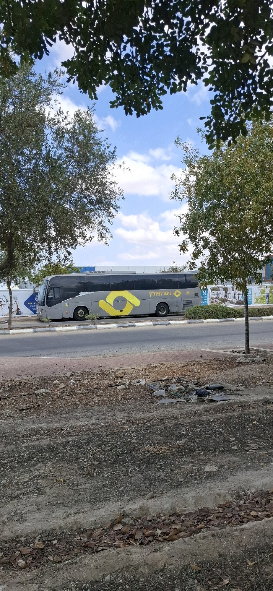A grey bus with a yellow logo on its side is parked on the side of a road in Kiryat Gat, Israel. The bus has the words "מטרופולין" (Metropolin) written on its side in Hebrew. In the foreground, there is a dirt path with scattered debris, including rocks, leaves, and some plastic. Trees with green leaves are visible on both sides of the bus, framing the scene. The sky is blue with some white clouds. In the background, there are buildings and what appears to be construction fencing. The image is taken from a low angle, looking up towards the bus and the trees.