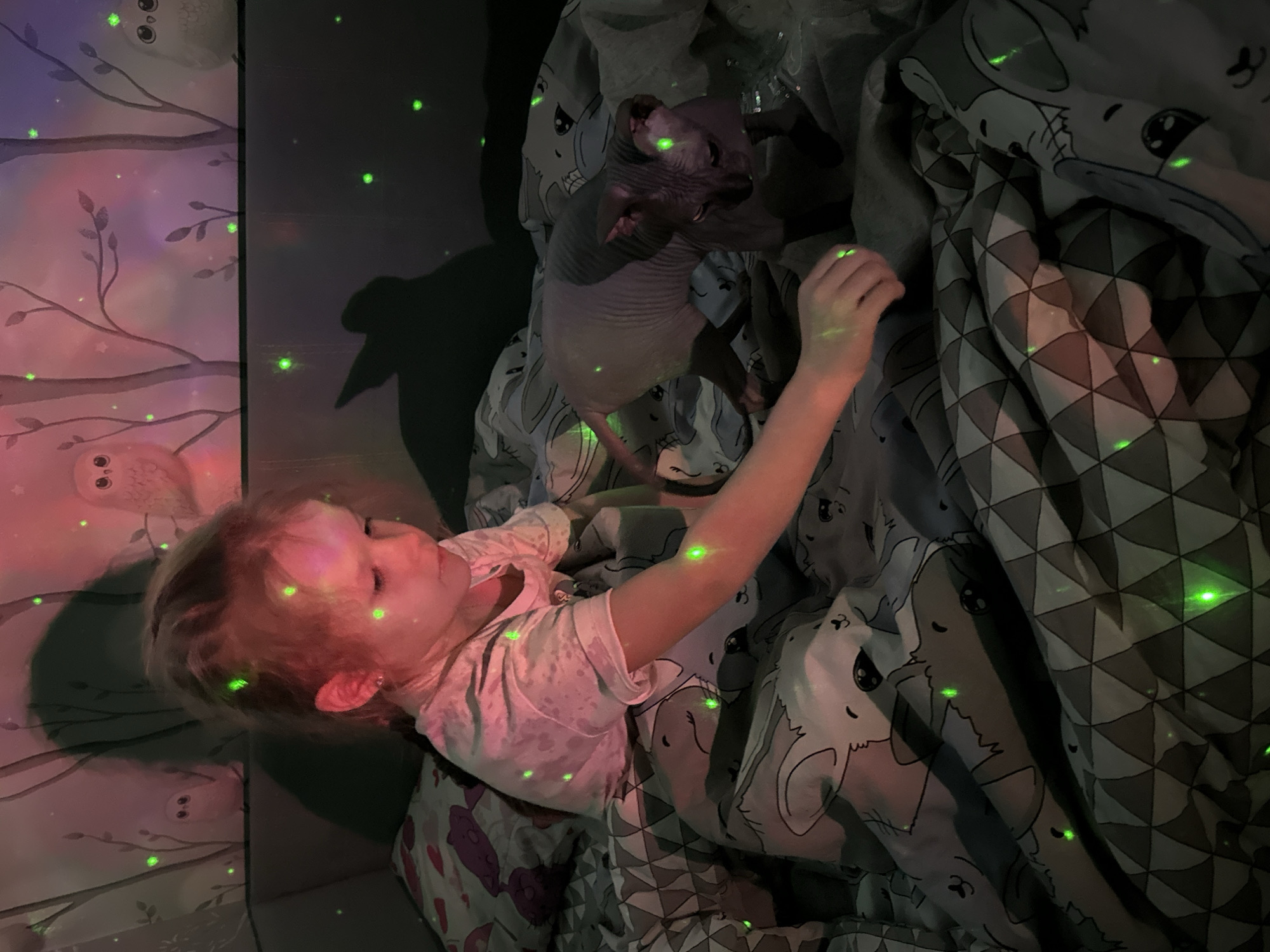A young child lies on a bed with a Sphynx cat in a darkened room with projected green lights. The child is fair-skinned with blonde hair. The cat is hairless and wrinkled. The bedding features a pattern of animal faces. The wall is decorated with a pattern of owls and trees. The location is Chaikovsky, Russia.