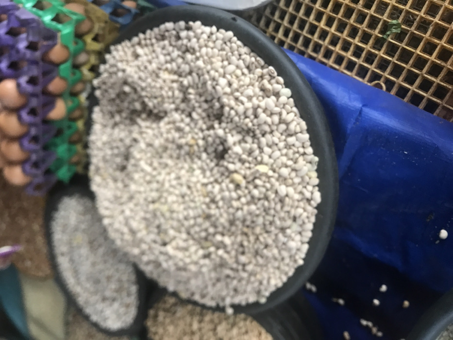 The image shows a close-up of a black bowl filled with white beans, likely in a market or a food stall in Umudike, Nigeria, located at 5.481 latitude and 7.546 longitude. The beans are piled high and appear to be uncooked. The bowl is on a surface next to other containers, one of which contains brown and beige items, and another with a blue plastic surface with scattered white beans. The image focuses solely on the bowl of white beans.