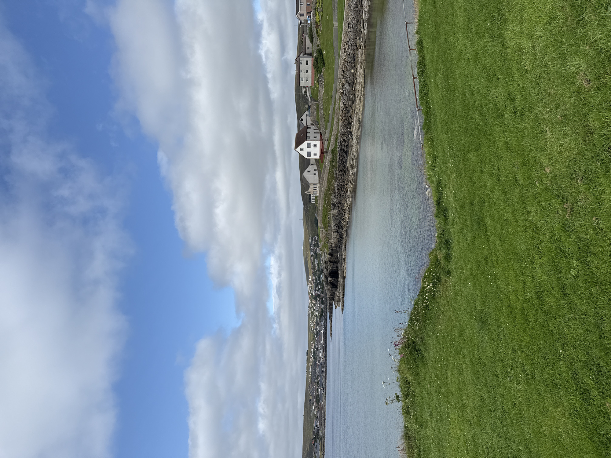 A daylight, eye-level, vertical shot shows a tranquil coastal view of a town nestled beside a calm body of water. The foreground features a lush, green grassy hill with sparse white wildflowers, sloping down towards the water's edge. Beyond the grass, a rocky shoreline separates the water from a road and a row of residential buildings. The buildings are a mix of white and light-colored structures, some with red-tiled roofs, nestled against rolling green hills. The water is a clear, light blue-green, reflecting the sky. The sky above is a bright blue, dotted with fluffy white clouds. The overall impression is one of serene coastal living. The scene appears to be of the town of Lerwick, United Kingdom, as indicated by the architecture and coastal landscape typical of the Shetland Islands.