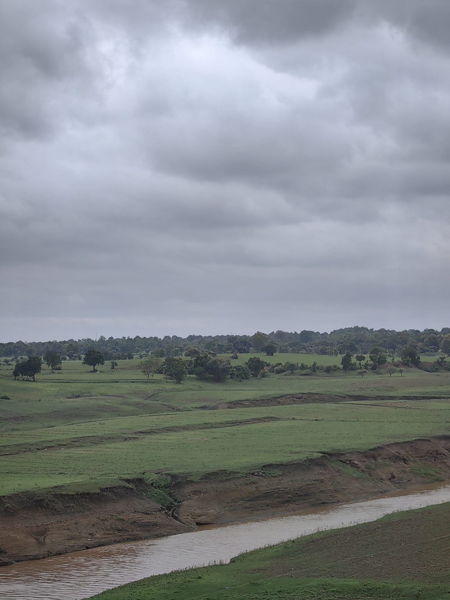A wide shot captures a rural landscape under an overcast sky. The foreground features a body of muddy water, likely a river, with gently sloping green banks. Beyond the water, rolling green fields are visible, marked by terraced levels and some erosion. A line of trees forms a darker band across the mid-ground, with more dispersed trees dotting the fields. The horizon is lined with a dense forest. The overall impression is one of a natural, undeveloped area, possibly a rural scene in the vicinity of Dagarkheri, India. There are no people or animals visible in the frame.