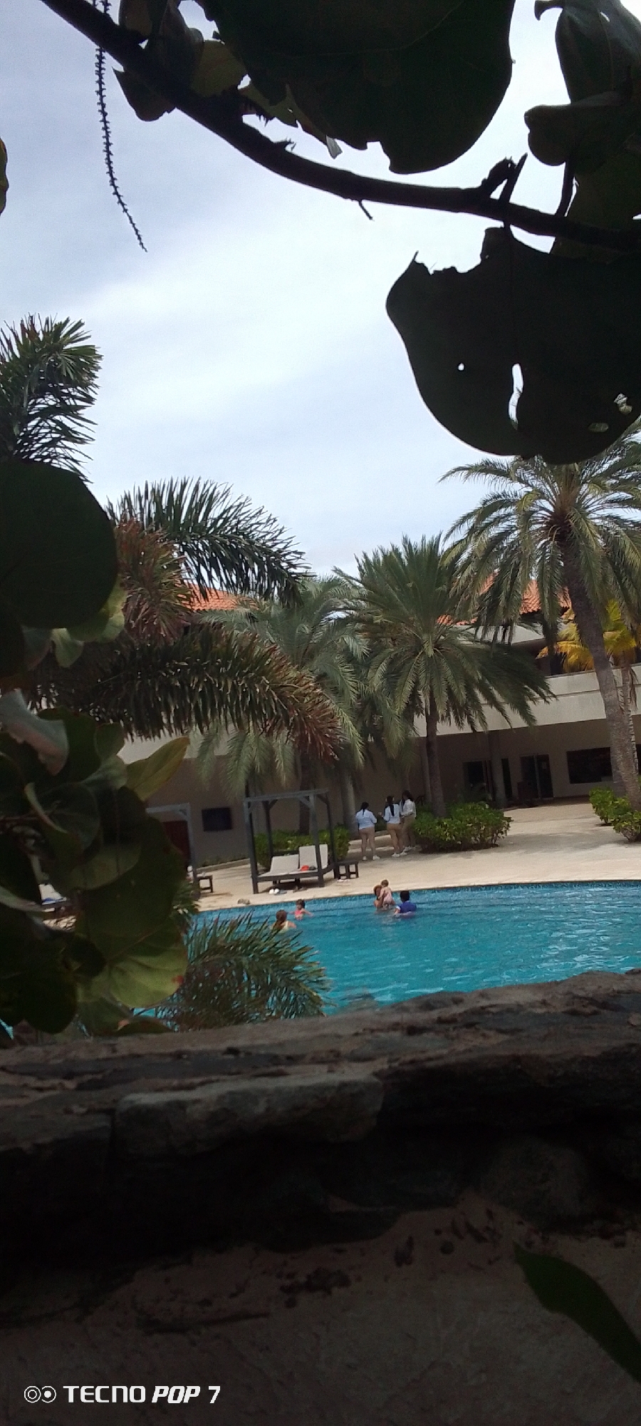 The image, captured with a Tecno Pop 7, shows a partially obscured view of a swimming pool in what appears to be a resort setting, likely in or near Pedro González, Venezuela, judging by the tropical vegetation and architecture. The pool has several people in it, including what appear to be children and adults. On the poolside, there are lounge chairs beneath a covered structure, and a group of individuals dressed in what may be uniforms are standing nearby. Palm trees and other tropical plants surround the pool area. The foreground is dark and out of focus, suggesting the photograph was taken from behind or near a wall or ledge. Overhanging branches and leaves obscure the top of the frame. The sky is overcast.