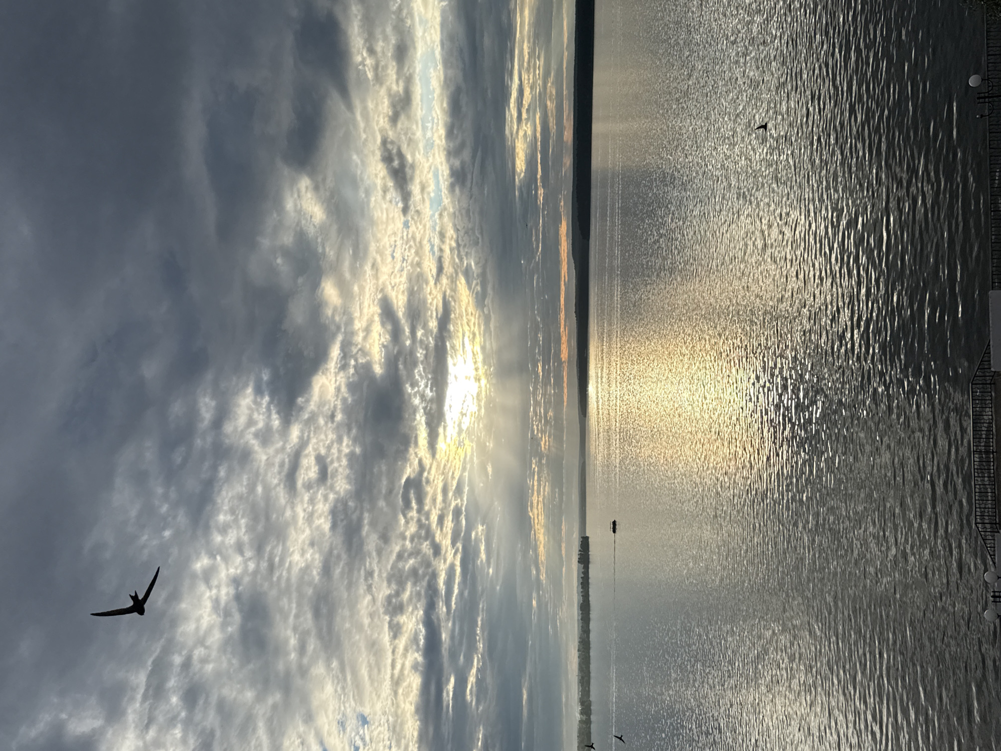 The image depicts a serene body of water, likely a lake or river, under a cloudy sky with the sun breaking through, casting rays of light onto the water's surface. In the upper left quadrant of the sky, a silhouette of a bird is captured in mid-flight. The water is rippled, reflecting the dim sunlight and the dramatic cloud formations. The horizon line is visible, showing a distant, dark shoreline with hints of vegetation. A small boat can be seen moving across the water in the middle distance. In the foreground, a dark railing and some lights suggest a waterfront promenade or viewing area. The overall mood is peaceful and slightly dramatic due to the interplay of light and shadow. This scene is consistent with the Votkinsk Reservoir on the Kama River, located in the city of Votkinsk, Russia, known for its picturesque waterfronts.