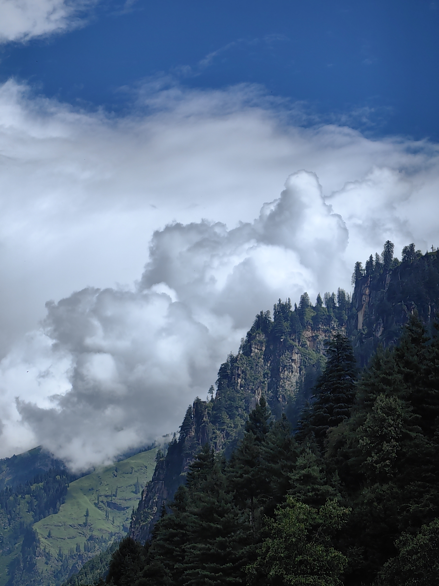 This image depicts a mountainous landscape with dramatic clouds and lush greenery. In the foreground, a dense cluster of dark green coniferous trees occupies the lower right portion of the frame. Behind these trees, a steep, rocky mountain face rises, sparsely populated with more coniferous trees. Further back, a vibrant green mountain slope is visible, dotted with scattered trees and partially obscured by swirling grey and white clouds. The sky above is a deep blue, streaked with wispy white clouds. The scene conveys a sense of natural grandeur and possibly a slightly overcast or changing weather condition. The location is identified as Vashisht, India. No people or specific actions are depicted.