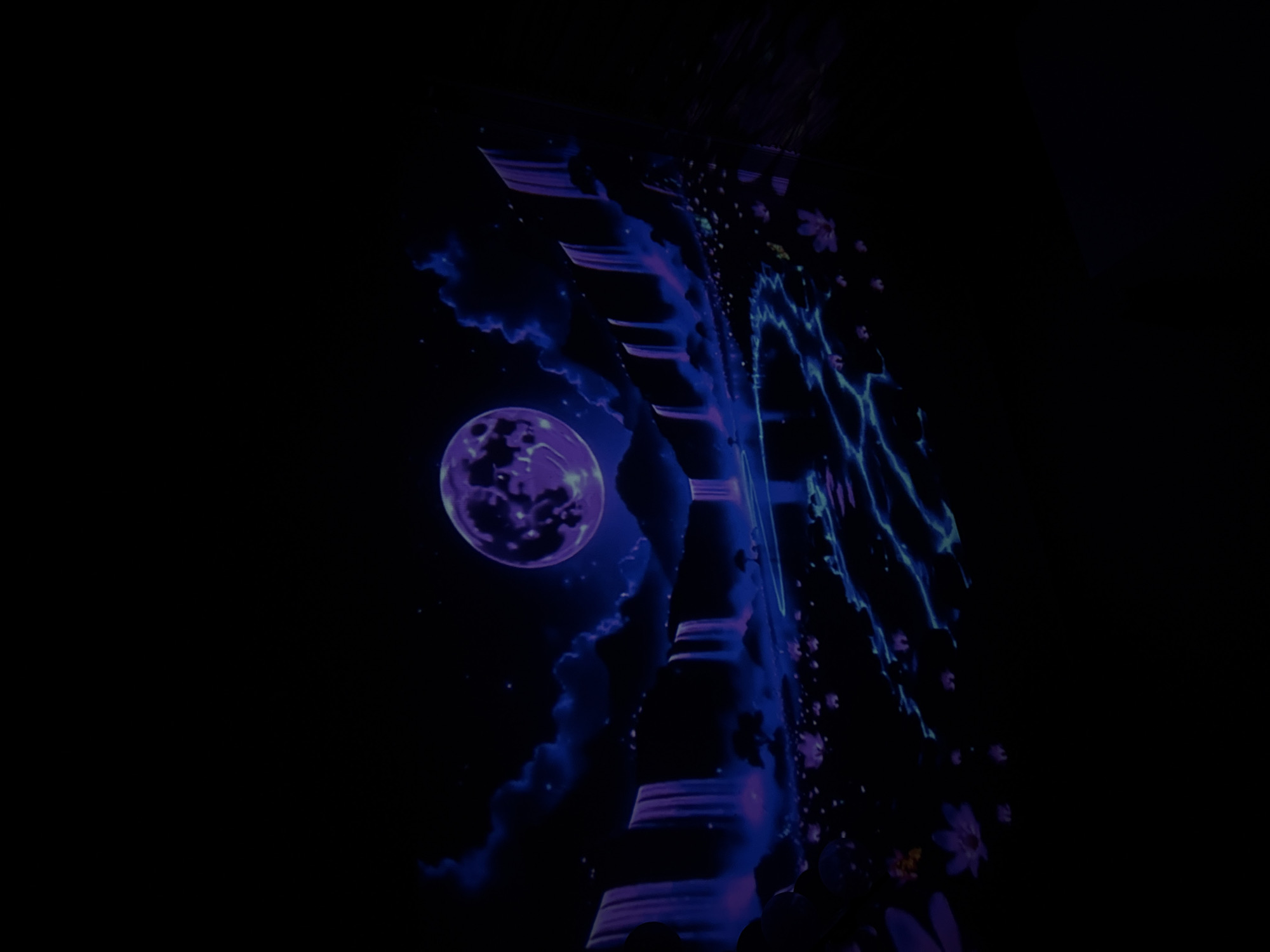 The image is a nighttime view of a fantastical landscape illuminated by a large, purple moon. Multiple waterfalls cascade down a dark, mountainous terrain. The water glows with a soft blue and purple light, and a winding river or stream reflects the moonlight. The foreground features dark silhouettes of plants and flowers, some of which are also illuminated with bioluminescent colors. The scene appears to be a painted mural or an artistic rendition, possibly within a dark amusement park or entertainment venue. There is no indication of this scene being located in Tbilisi, Georgia.