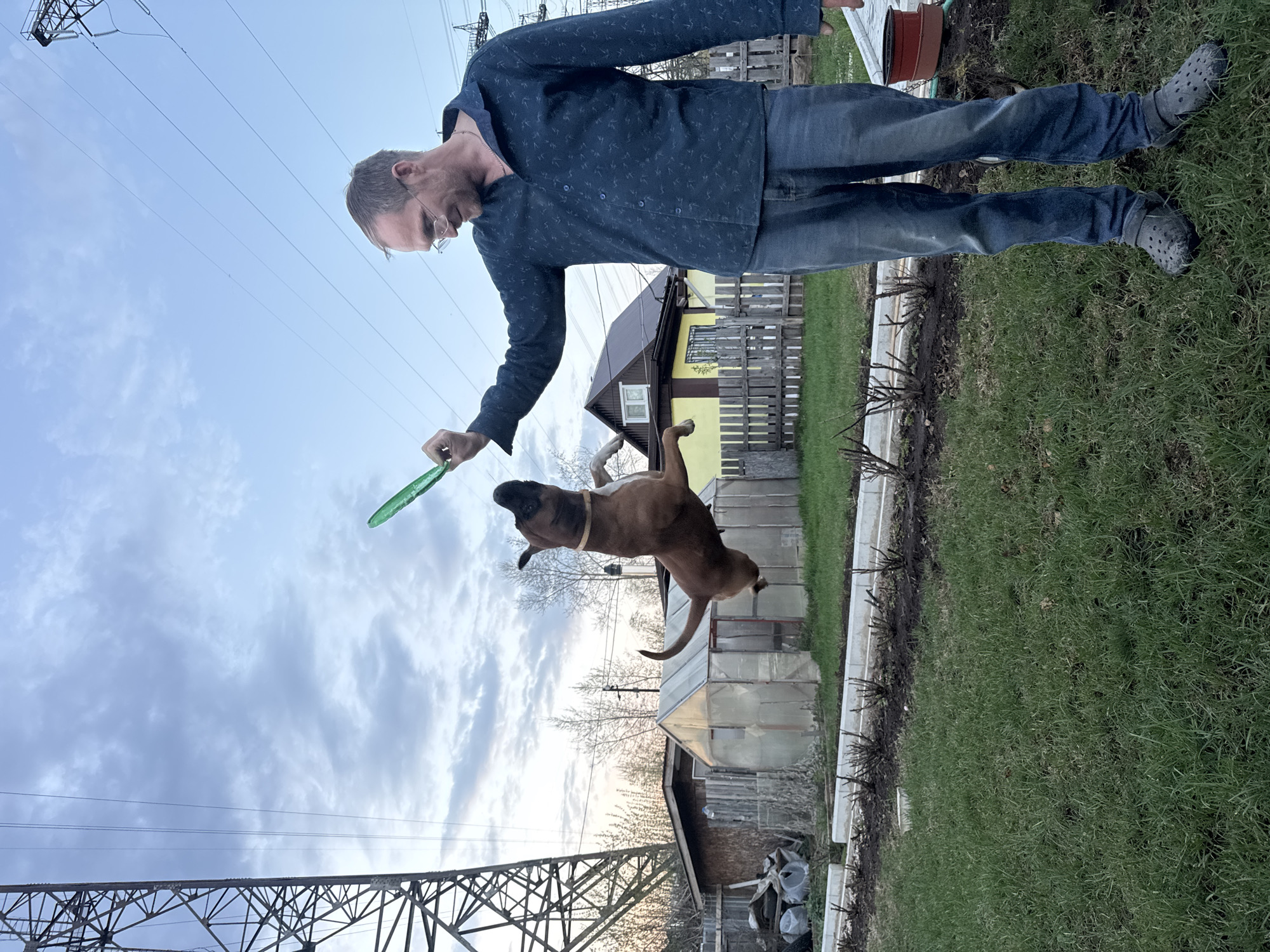 The image depicts a man playing with a dog in a backyard or garden setting in Chaikovsky, Russia. The man, wearing a long-sleeved shirt, jeans, and Crocs, is holding a green toy disc, seemingly preparing to throw it for the dog. The dog, a brown boxer-type breed with a light-colored collar, is in mid-air, leaping toward the toy. In the background, there's a house with a yellow exterior and brown roof, as well as a greenhouse structure. A fence separates the garden from neighboring properties. In the distance, a large electrical transmission tower is visible against a cloudy sky, indicating the presence of power infrastructure in the area. The ground is covered in grass, with some garden beds bordering the lawn.