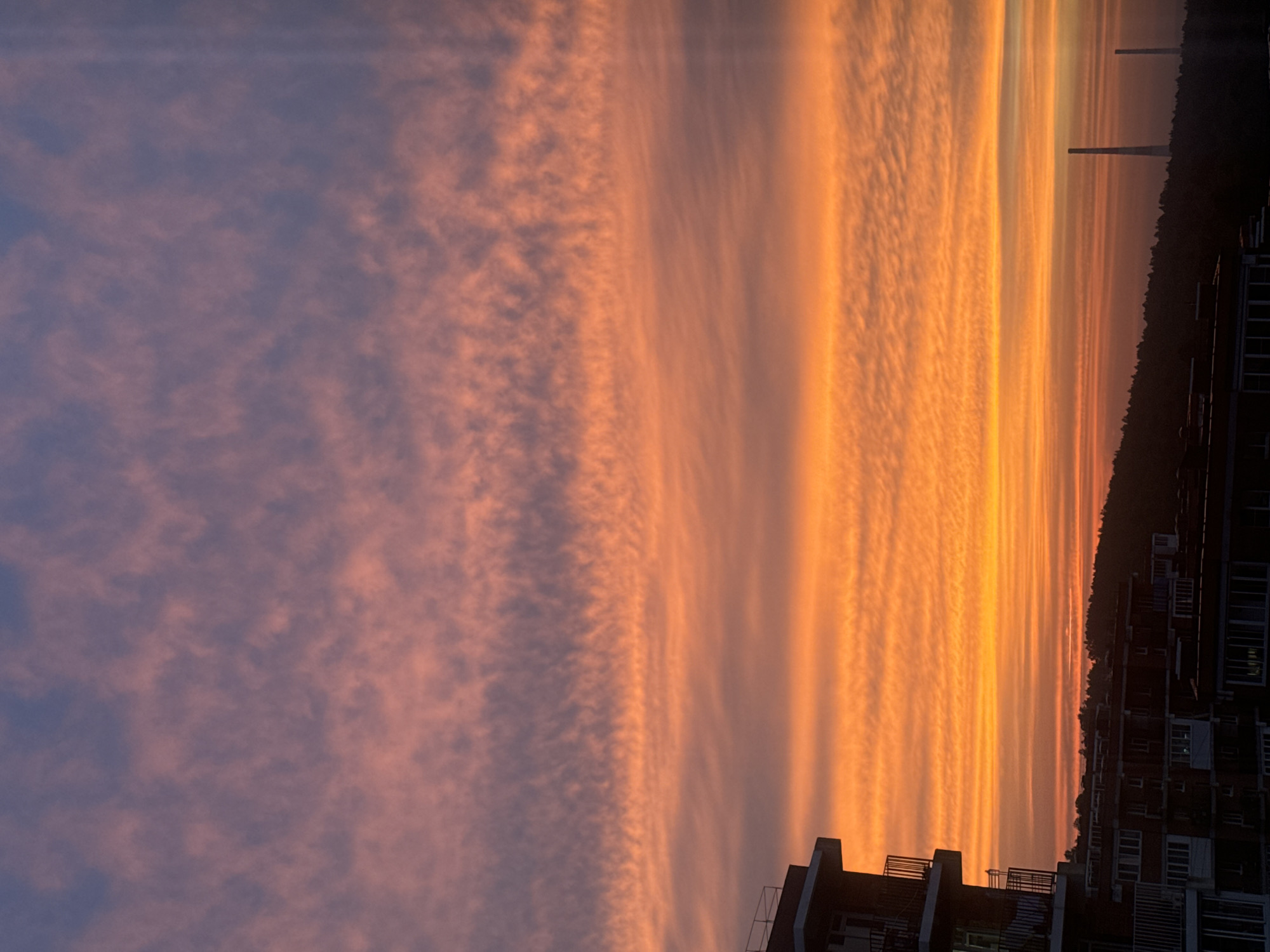 This image captures a dramatic sunset over Markova, Russia. The sky is ablaze with streaks of vibrant orange and yellow clouds, transitioning to softer pinks and blues on the left side of the frame. The clouds are textured, with fine, parallel lines creating a rippled effect in the warmer tones, suggesting a high-altitude wind pattern.
In the foreground, silhouetted against the bright sky, are the tops of several modern buildings. These structures have visible balconies with railings, and window patterns are discernible on their dark facades. A dense line of trees borders the horizon, separating the sky from the urban elements below. Two distinct, tall, slender structures, possibly smokestacks or industrial towers, rise above the treeline in the distance, adding a touch of industrial context to the natural beauty of the sunset.
The time of day is clearly sunset, indicated by the intense colors in the sky. The weather appears clear, allowing for an unobstructed view of the celestial display. The scene evokes a sense of awe and tranquility, a common emotional response to a powerful sunset. There is no visible text in the image.