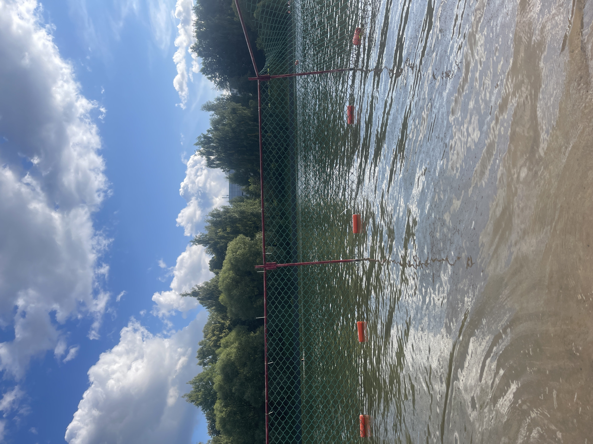 The image captures a sunny day at the Bolshoye Lake in Zelenograd, Russia, on July 16, 2023, at 12:57 PM. The foreground features the sandy bottom of the lake, with shallow water gently lapping the shore. A green mesh fence, supported by red poles, extends across the water, creating a boundary. Several orange buoys are visible, floating a short distance from the fence, marking a swimming area. In the background, a dense line of green trees forms the shoreline, with a few buildings peeking through the foliage. The sky above is a vibrant blue, dotted with fluffy white clouds, reflecting on the water's surface. The overall scene conveys a peaceful and recreational atmosphere at a popular Zelenograd spot.