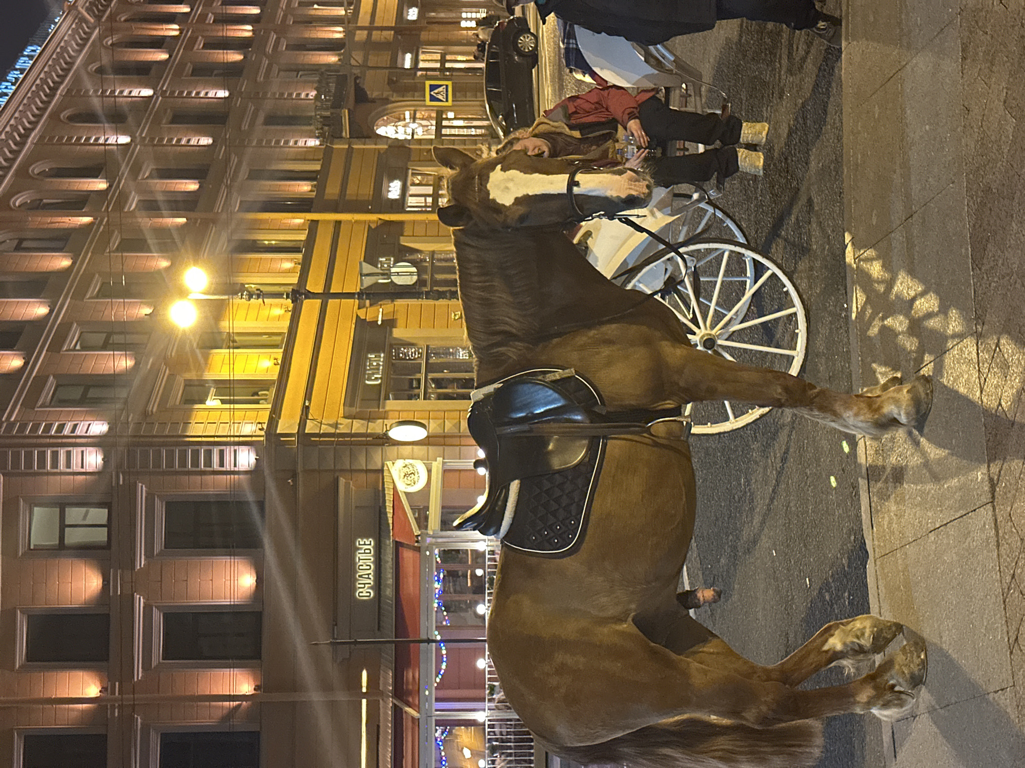 Captured at night in St. Petersburg, Russia, the image prominently features a brown horse hitched to a white carriage. The horse, wearing a black saddle, stands on the pavement beside the vehicle. A person, presumably the driver or a passenger, sits in the carriage. The backdrop is a building with illuminated windows and a sign in Russian. The overall setting suggests a tourist attraction or a ride-for-hire service in a bustling city environment.
