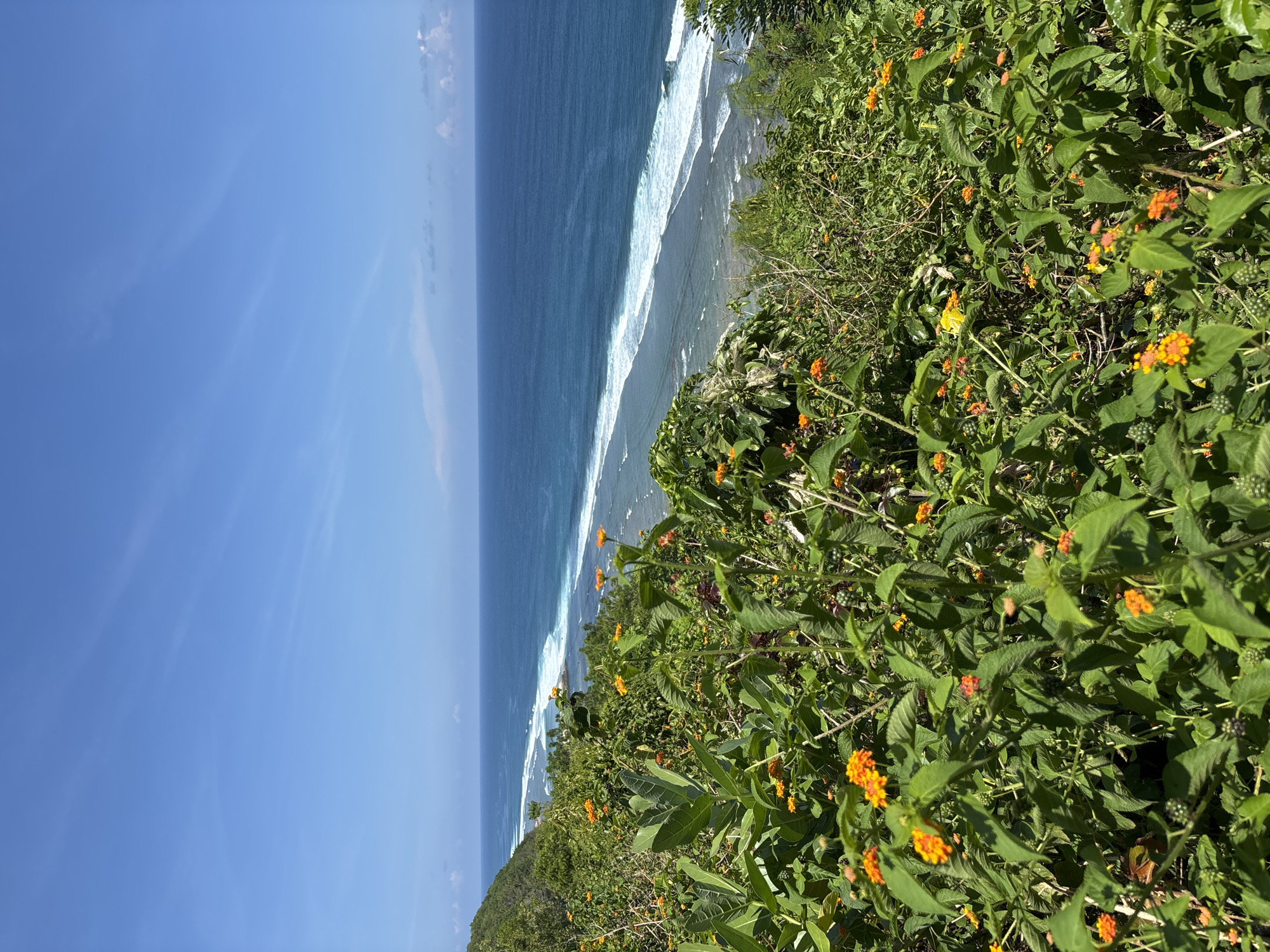 The image depicts a view from a coastal vantage point in Ungasan, Indonesia. Lush green foliage, interspersed with orange flowering plants, fills the right side of the frame. The ocean stretches out to the left, displaying varying shades of blue, from deep navy to lighter turquoise closer to the shore, where white waves are visible. The sky above is clear and bright blue.
