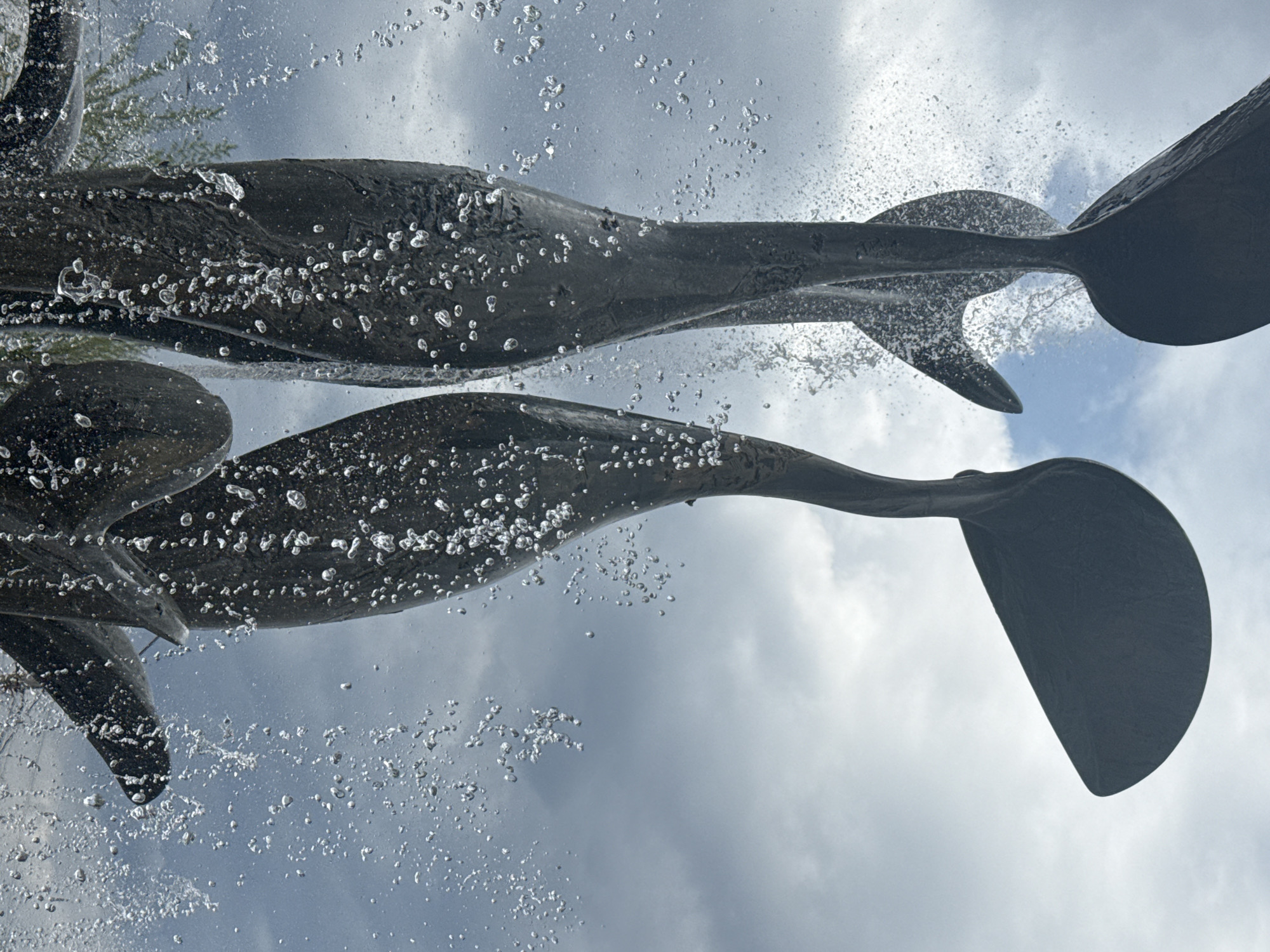 The image shows a sculpture of two stylized sturgeon fish, possibly made of dark stone or metal, positioned head-to-head. They appear to be part of a fountain, as numerous water droplets are visible around the fish. The background is a cloudy sky. The image is oriented so that the sky appears below the sculpture. This is the sculpture “Fountain of Sturgeon” in Dmitrov, Russia.