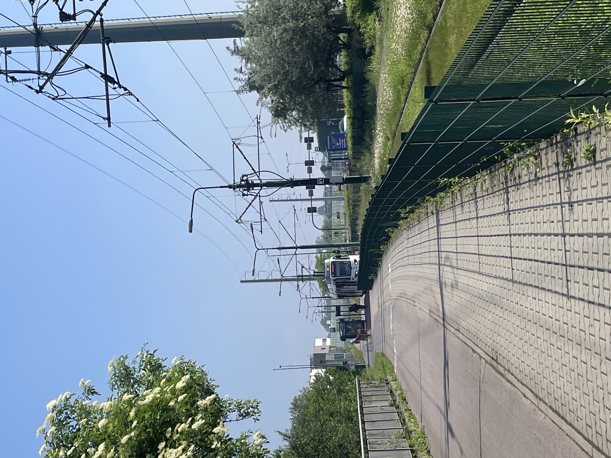 The image, oriented in portrait mode, captures an outdoor urban or suburban scene from a slightly elevated perspective. The dominant features run diagonally from the top-left to the bottom-right, suggesting a road or track system.
**Subjects:**
A complex network of dark overhead power lines and their supporting gantries and poles stretches across the upper-left quadrant, indicative of a tram or light rail system. Beneath these lines, a paved road or pathway curves gently towards the bottom-right. Parallel to this, a tram track is visible, upon which a white tram with orange markings is stopped or approaching a station in the distance. A tall concrete wall, featuring a repetitive textured pattern, forms a barrier on the right side of the frame, topped with a dark green metal fence. Another green metal fence runs along the left edge, separating the paved area from a narrow strip of water or ditch. In the far upper-right, a large concrete bridge or overpass structure is visible. Several streetlights are positioned along the tram tracks. A structure resembling a tram stop shelter is visible near the stopped tram.
A large tree with numerous white blossoms fills the lower-left corner. Scattered green trees and bushes are visible along the road, near the tram stop, and in the background. Grass and small plants grow along the fences and edges of the paved areas.
**Activity or event taking place:**
The scene depicts an active public transport route, with a tram at what appears to be a designated stop, indicating routine urban movement.
**Notable details:**
The bright blue, clear sky, and strong, well-defined shadows cast by the overhead lines and poles suggest a sunny day, likely during mid-morning or early afternoon. The combination of a tram system, an overpass, and sound walls points to a developed urban or suburban environment.
**Visible text:**
The number "16" is clearly visible on the tram's front digital display. Other textual elements on signs are too small or distant to be legible.
