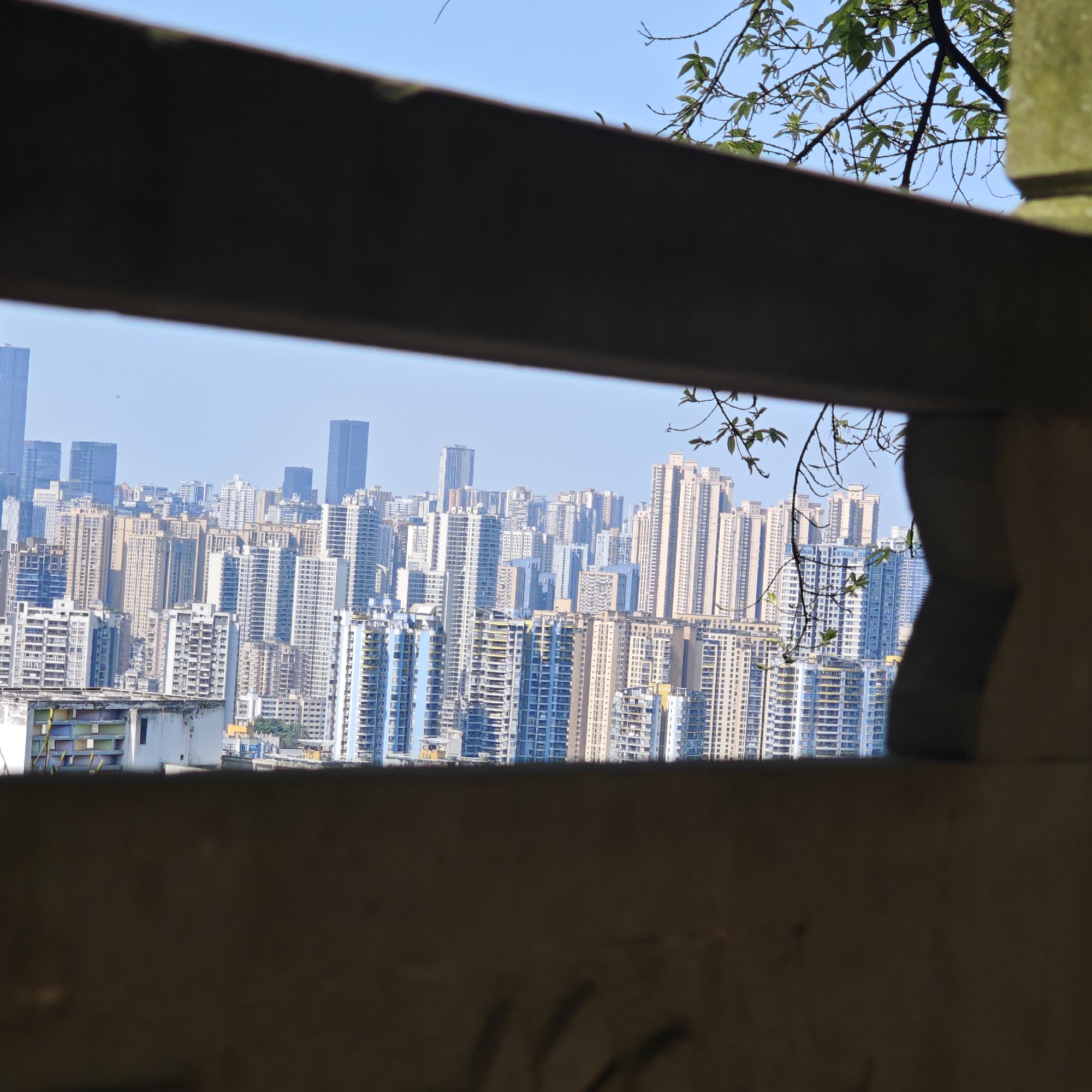 The photograph depicts a cityscape viewed through a gap in a weathered concrete structure, possibly a part of a wall or railing. The skyline is dominated by numerous high-rise residential and commercial buildings, characterized by their varying heights, colors, and architectural styles. The buildings are predominantly light-colored, with shades of white, beige, and light blue, set against a clear blue sky. The perspective suggests an elevated viewpoint overlooking a densely populated area. Vegetation, specifically tree branches with green leaves, partially obscure the upper right corner of the frame. The lighting indicates a sunny day, casting shadows and highlighting the textures of the buildings and concrete structure. The location is likely Yuzhong District, China, based on the architecture and urban density.