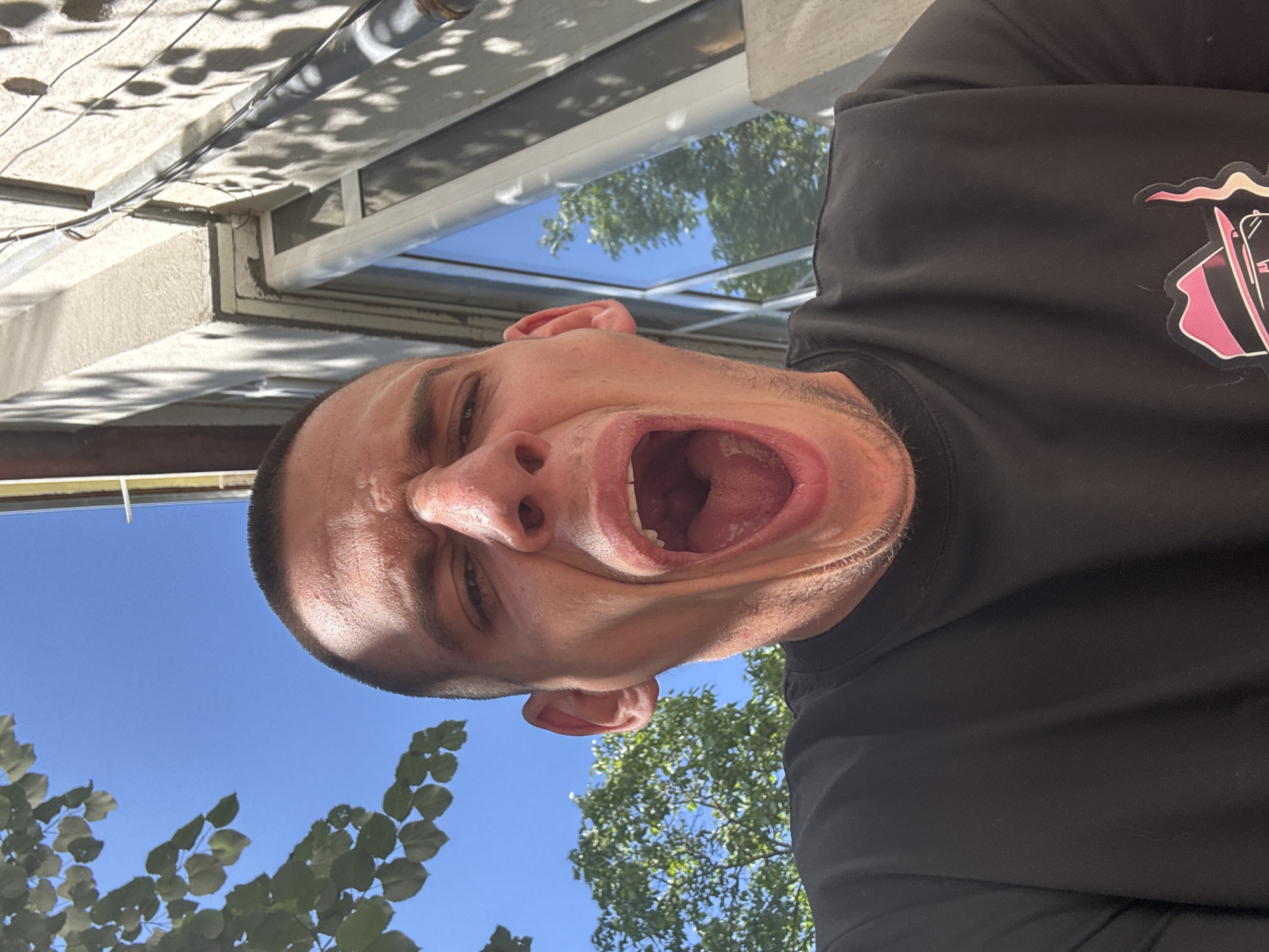 A man is captured in a close-up, low-angle selfie outdoors on a sunny day, with the city of Sofia, Bulgaria, as the backdrop. The man, with a shaved head and a slightly open mouth, is wearing a black t-shirt. The background shows a clear blue sky, lush green trees, and the side of a building with windows and some electrical wiring. The lighting suggests it's daytime, with strong sunlight casting shadows. The image appears to be taken in a public or semi-public space, possibly a street or park area in Sofia, given the combination of urban architecture and natural elements.