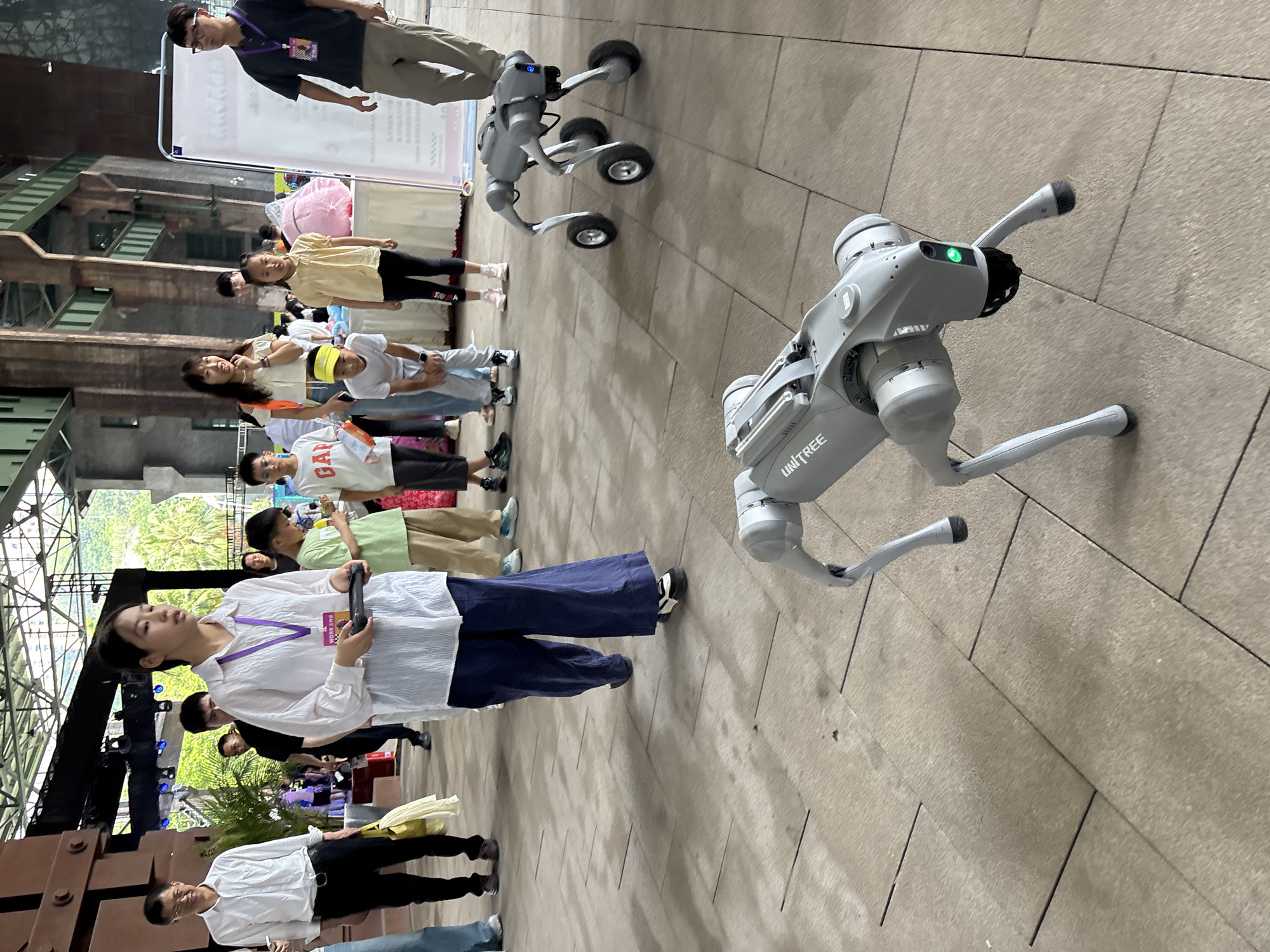 A woman in a white shirt and blue pants holds a black remote control, seemingly operating a four-legged robot with wheels. The robot is light grey and positioned on a paved outdoor area. In the background, other people, including children, are visible. Some are looking towards the robots, while others are engaged in conversation or walking. The environment appears to be an open-air venue, possibly a plaza or exhibition space, with industrial-style architecture in the background and lush greenery. The scene suggests an event or demonstration involving robotics. The location is identified as Dadukou, China.