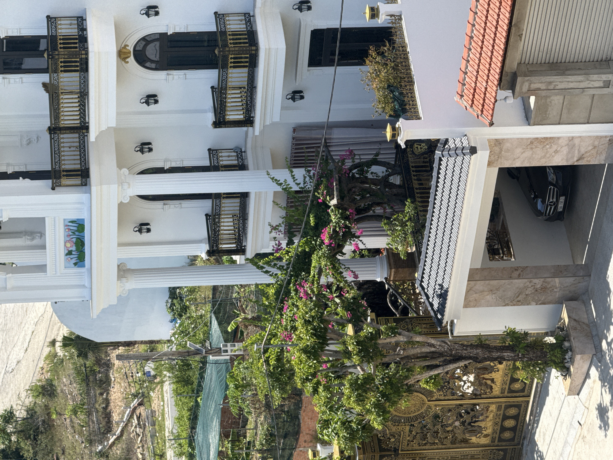 A large, ornate white house with multiple balconies and decorative pillars is situated in a city. The house features dark arched windows and doors, and gold and black wrought-iron railings on its balconies. A tree with vibrant pink flowers stands in front of the house, near a large, intricately designed golden gate. The property is surrounded by greenery, including bushes and smaller trees, and a sloping, dry, sandy hillside with vegetation is visible in the background. To the right of the house, a smaller building with a red-tiled roof and a corrugated metal door is visible. A dark-colored Mercedes-Benz sedan is parked under a covered entrance to the house. The scene appears to be a sunny day, with distinct shadows cast on the ground. The location is identified as Bac Nha Trang Ward, Vietnam.