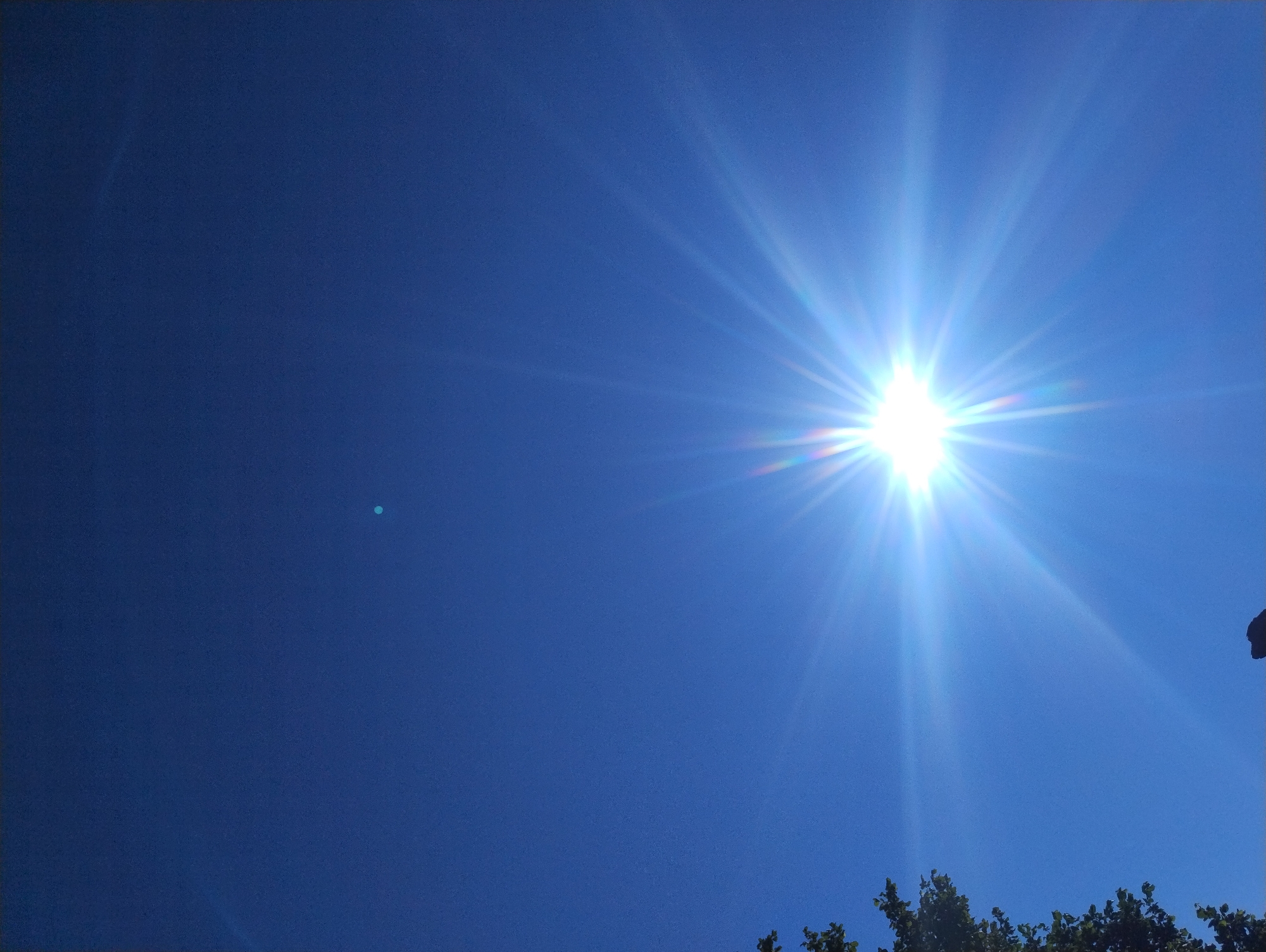 A bright sun with prominent rays shines in a clear blue sky. In the lower left corner of the image, a portion of a tree with green leaves is visible. A small, faint, circular light is also visible in the upper part of the sky. The bottom edge of the image shows a dark, indistinct silhouette of what appears to be a person standing. The scene is outdoors, with the sky occupying most of the frame.
