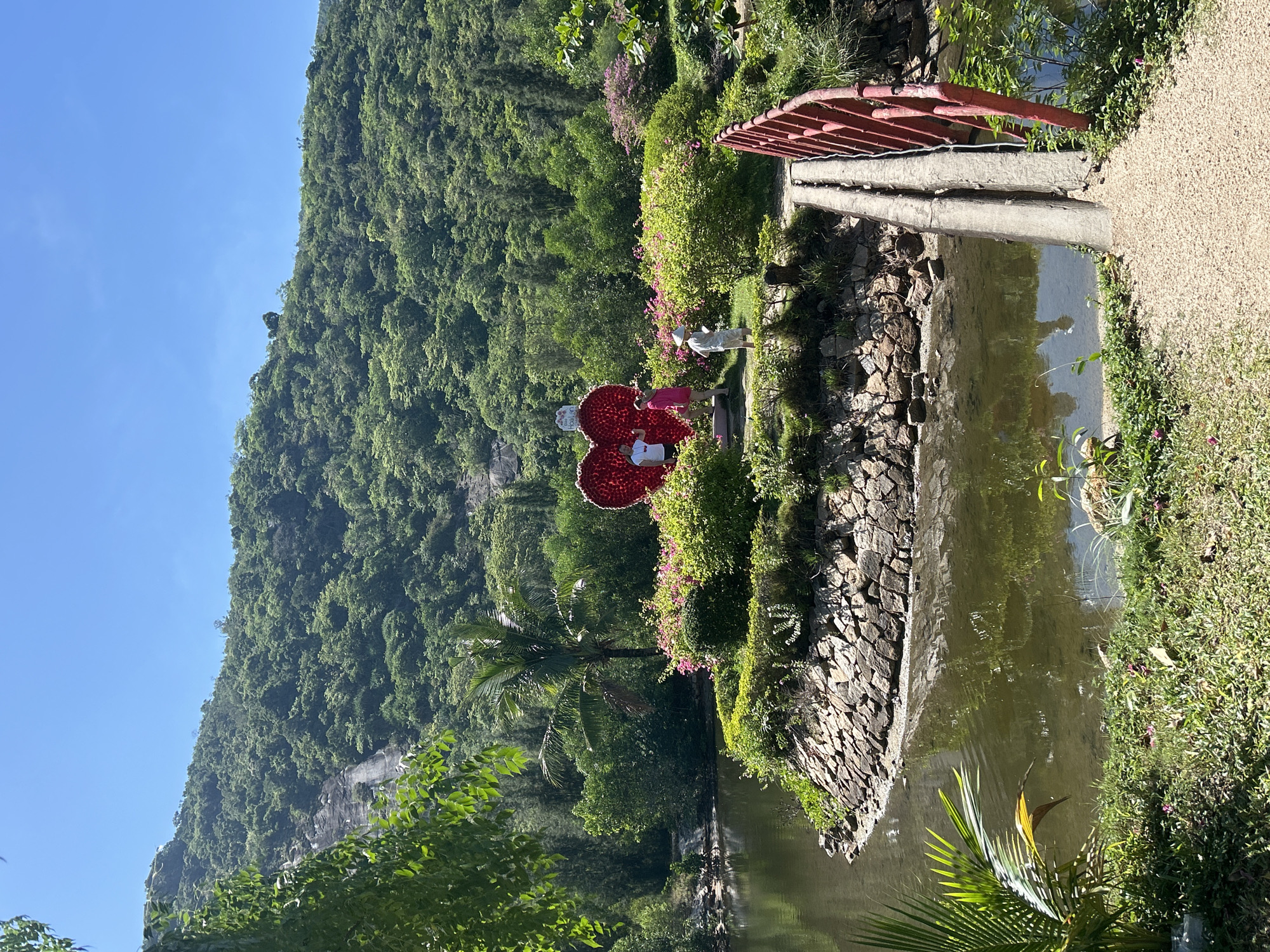 The image depicts a scenic view of a park in Hoa Thang, Vietnam, with a focus on a heart-shaped floral decoration. In the foreground, a path leads to a small footbridge with a red railing, crossing over a calm body of water. The water's surface reflects the lush greenery surrounding it. The pathway is made of gravel and bordered by grass and small plants.
The central feature of the park is an island in the water, adorned with a large, vibrant red heart sculpture crafted from flowers. Around the heart, there are meticulously manicured bushes and flowering plants in pink and green hues. Three individuals are visible near the heart sculpture; two women in casual attire and a man wearing a straw hat. They appear to be interacting with the display.
Behind the island and floral display, the landscape transitions into a dense, verdant forest that covers the slopes of a large hill. A visible scar runs down the side of the hill, suggesting a path or a natural feature like a dry waterfall. The sky above is a clear, bright blue, indicating a sunny day. The overall environment suggests a well-maintained public space designed for relaxation and enjoyment of nature.