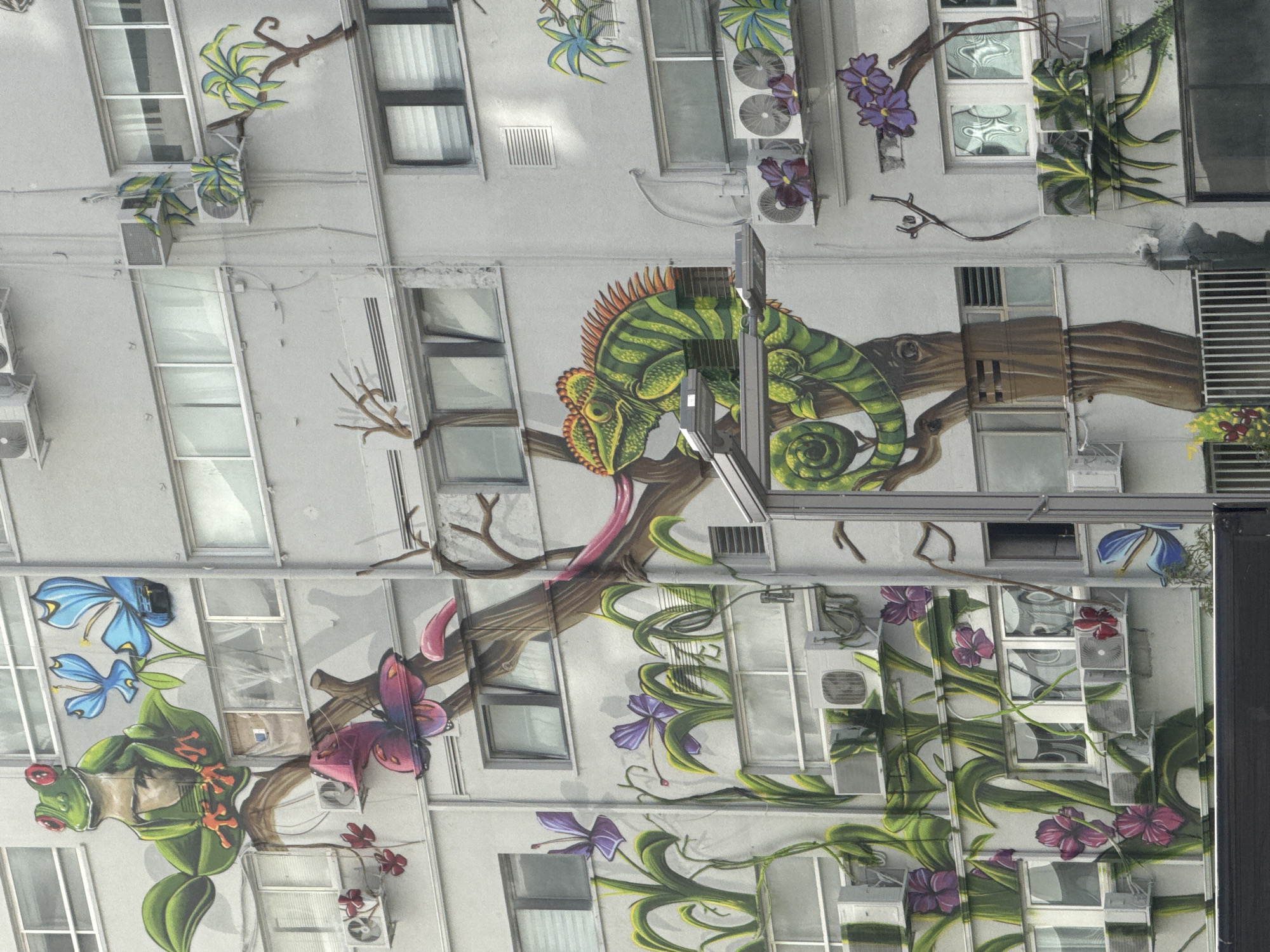 The image depicts a building facade adorned with murals, likely located in Tel Aviv, Israel. The murals showcase colorful depictions of wildlife and flora, including a chameleon with its tongue extended, a frog perched on a leaf near blue flowers, butterflies, and climbing vines with purple and red flowers. The artwork is integrated around the building's architectural features, such as windows and air conditioning units. The building has a light-colored exterior and appears to be a multi-story structure. A vertical structure is visible running vertically, obscuring some of the mural.