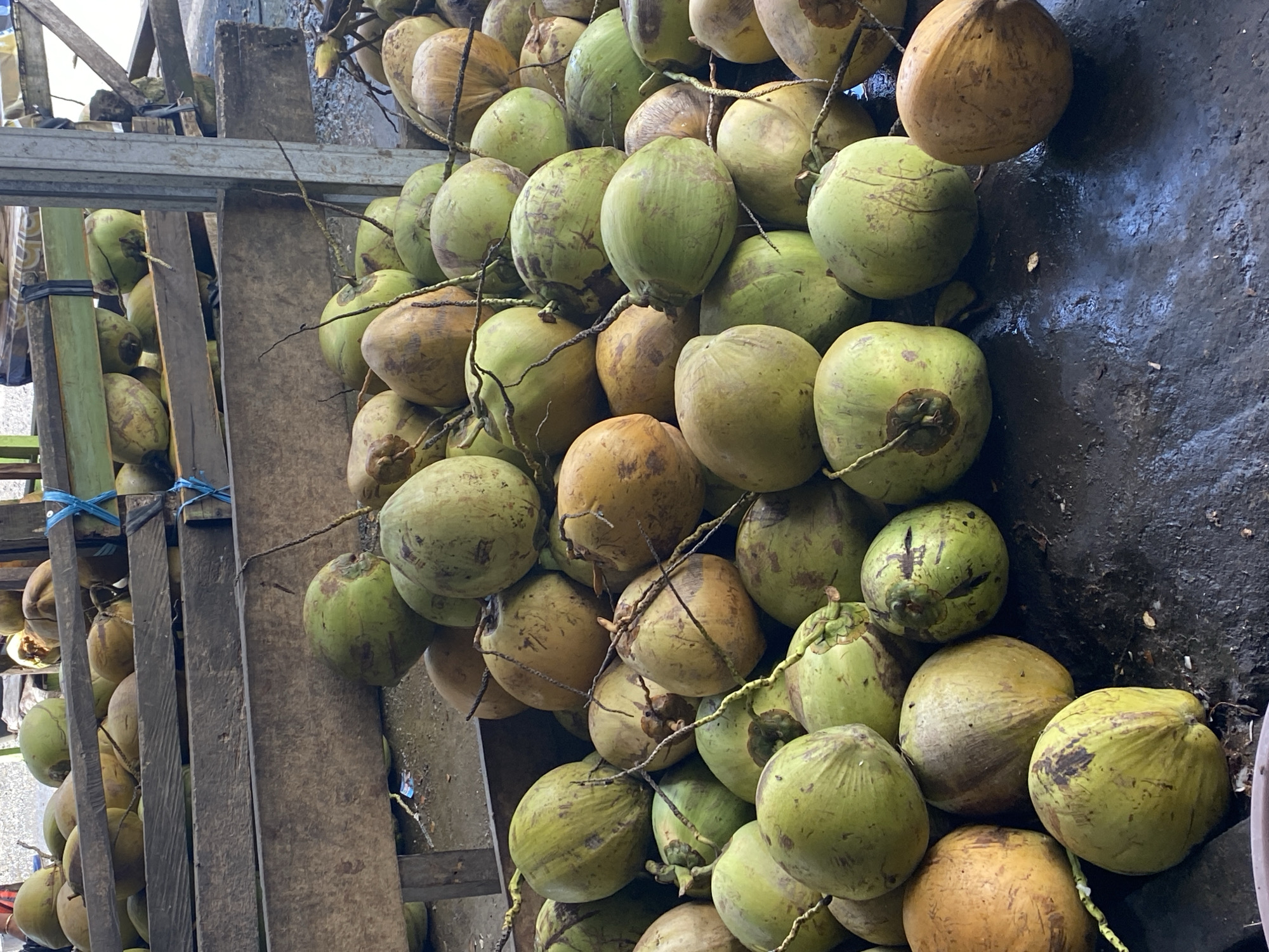 In Ta', Indonesia, a close-up, eye-level shot captures a large pile of coconuts. The coconuts are a mix of green and brown, with some showing a yellowish hue. They are loosely stacked, with some spilling out onto a dark, wet surface that appears to be packed earth or asphalt. A wooden structure, possibly a market stall or a cart, is visible in the background. The lighting suggests it is daytime, with natural light illuminating the scene. There are no people visible in the image, and the focus is solely on the bounty of coconuts. The overall impression is one of abundance and freshness, likely at a local market or roadside stand where coconuts are sold.