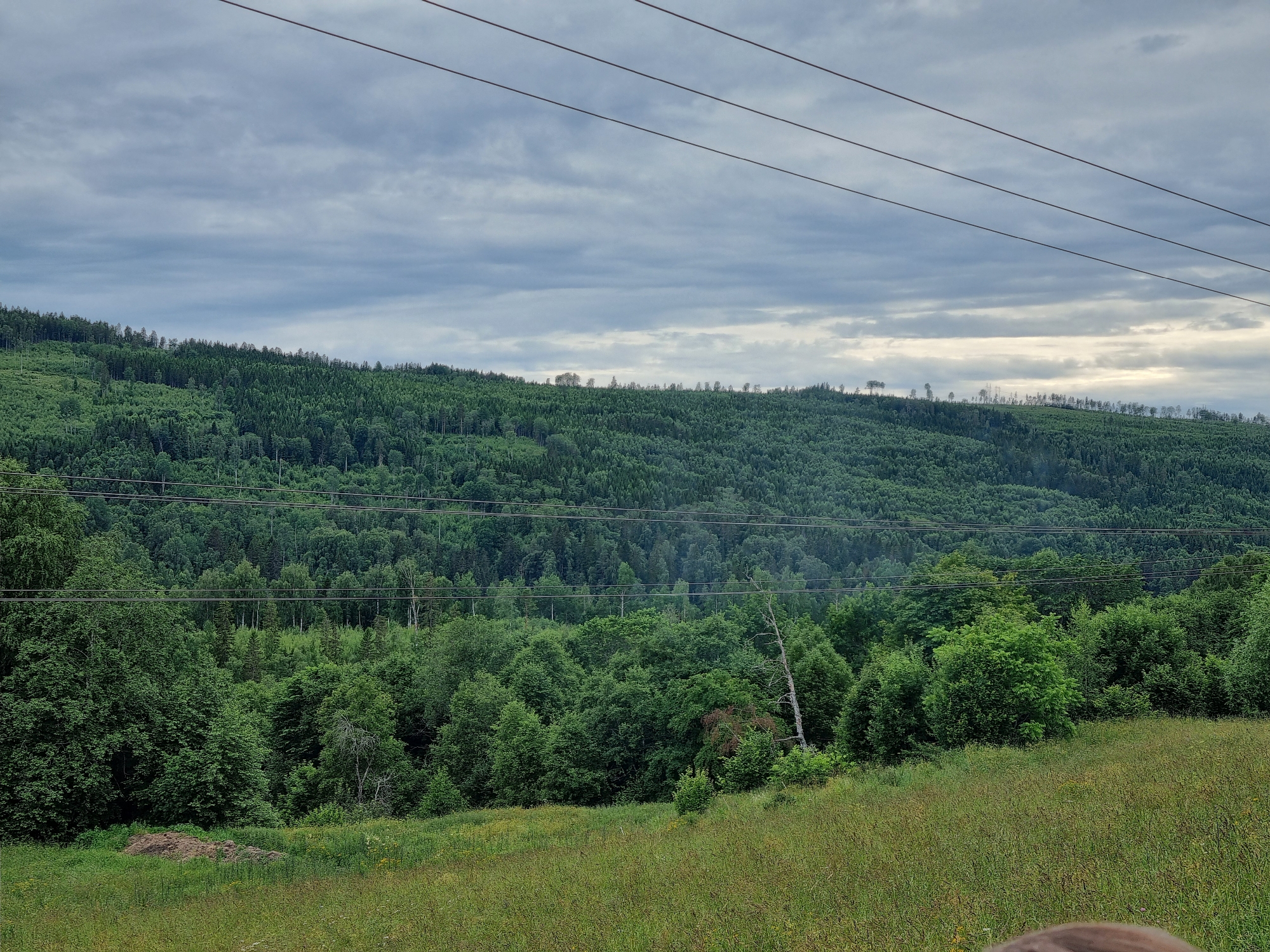 A landscape photograph shows a heavily forested hillside under a cloudy sky. Three parallel power lines stretch across the upper portion of the image. The hillside is covered in dense green trees, with some clear-cut areas visible near the top. In the foreground, a grassy slope is dotted with wildflowers. A small pile of what appears to be dirt or compost sits on the grass. The image is taken in the Indals-Lidens kommundel, Sweden.