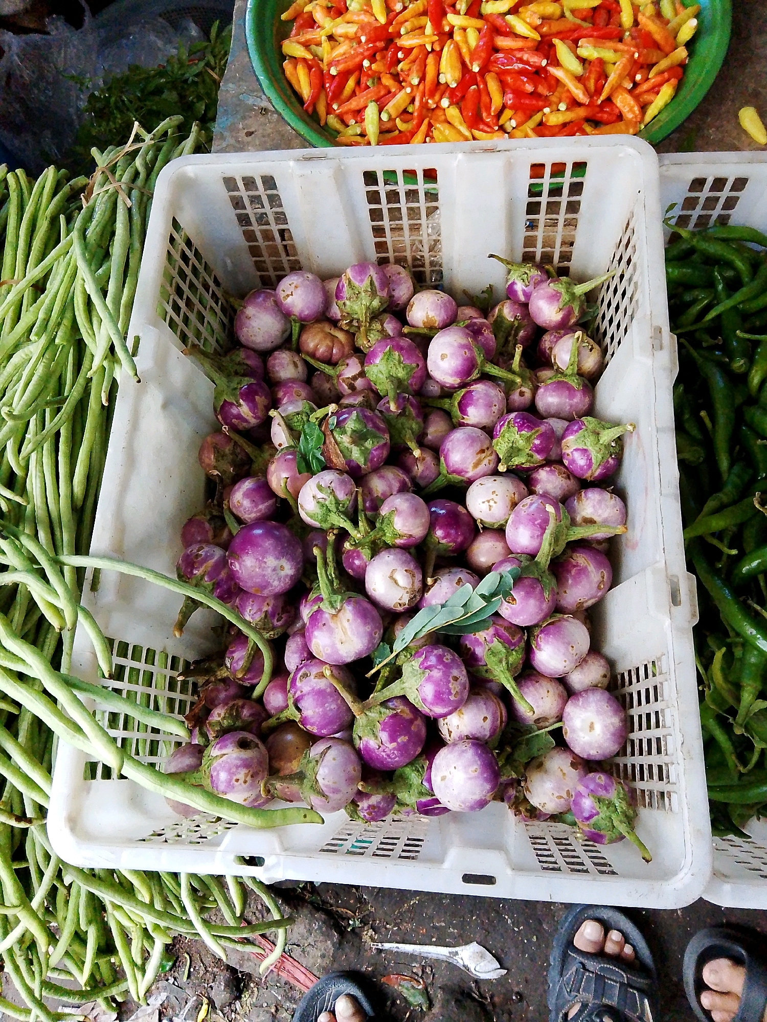 The image depicts a street-level view of a vegetable stall in Kediri, Indonesia. The foreground is dominated by a white plastic basket overflowing with small, round, purple eggplants. Long green beans are piled to the left of the basket, some tied in bundles. To the right of the eggplants, another basket contains green chili peppers. In the upper portion of the image, a green bowl holds a vibrant mix of red, orange, and yellow chili peppers. The ground beneath the stall appears to be a dirt or paved surface. Two pairs of feet, clad in dark sandals, are visible in the lower right corner, suggesting the presence of customers or vendors. The overall scene conveys a bustling market atmosphere, typical of food vendors in Indonesian cities.