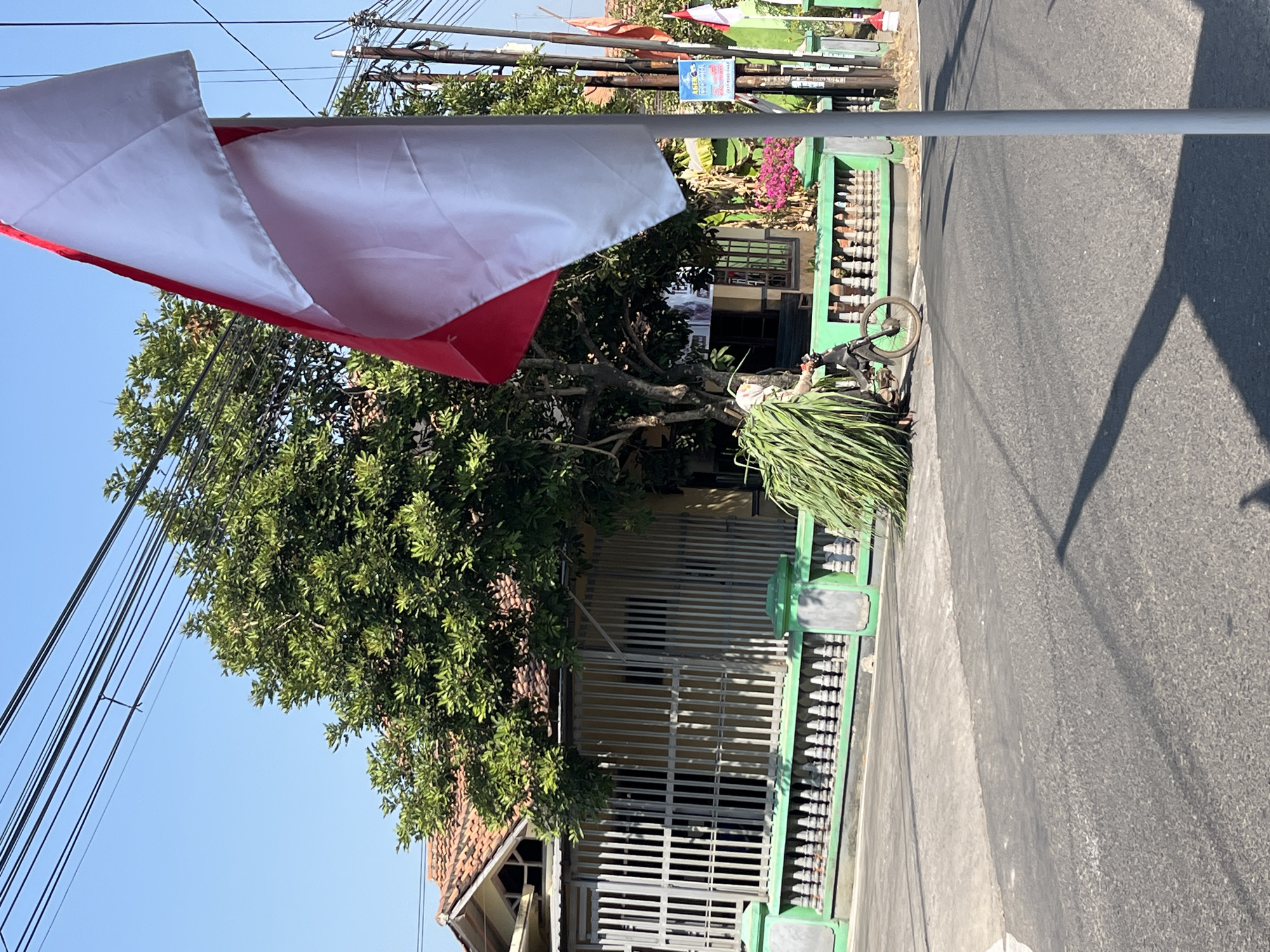 The image depicts a street scene in Margorejo, Indonesia, on a sunny day with a clear blue sky. In the foreground, a portion of a red and white Indonesian flag on a pole is visible, obscuring part of the view. A person is riding a bicycle on the paved road, carrying a large bundle of green grass or stalks. The bicycle has a rear rack, and the grass is piled high, extending to the sides and rear. The person is wearing a light-colored long-sleeved shirt and a face covering.
Behind the road and the cyclist, there is a low green fence with decorative white posts. Beyond the fence, a house with a red tiled roof and a yellow exterior is visible. The house has large metal bars on its windows and front entrance, suggesting security measures. A large tree with dense green foliage stands next to the house. Further down the street, more flags, including another red and white one and possibly an orange one, are visible, along with electrical poles and wires. A sign advertising "AGEN BPJS" is also attached to a pole. The overall environment appears to be a residential area in Indonesia.